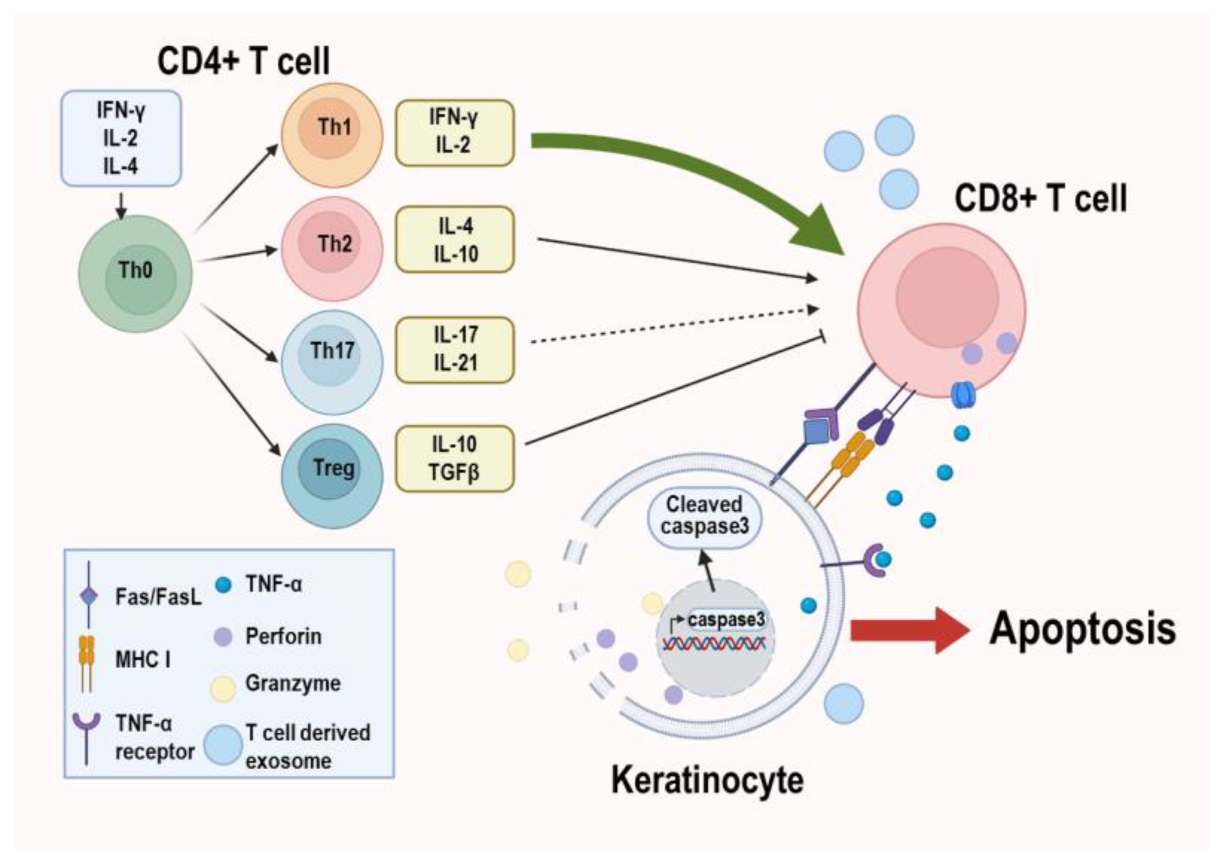 Biomolecules 13 01646 g001 Biomolecules 13 01646 g001