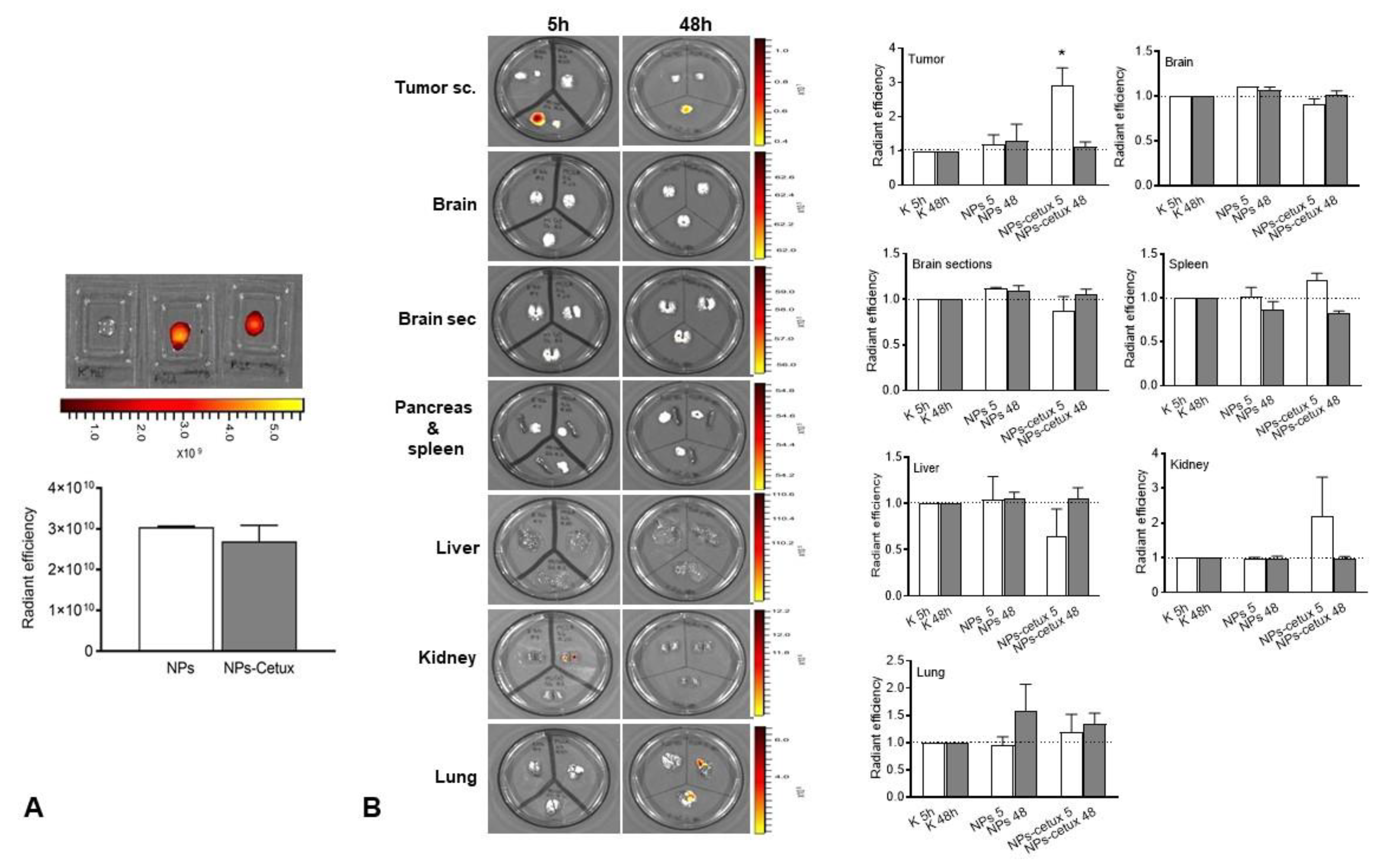 Biomolecules 13 01647 g006