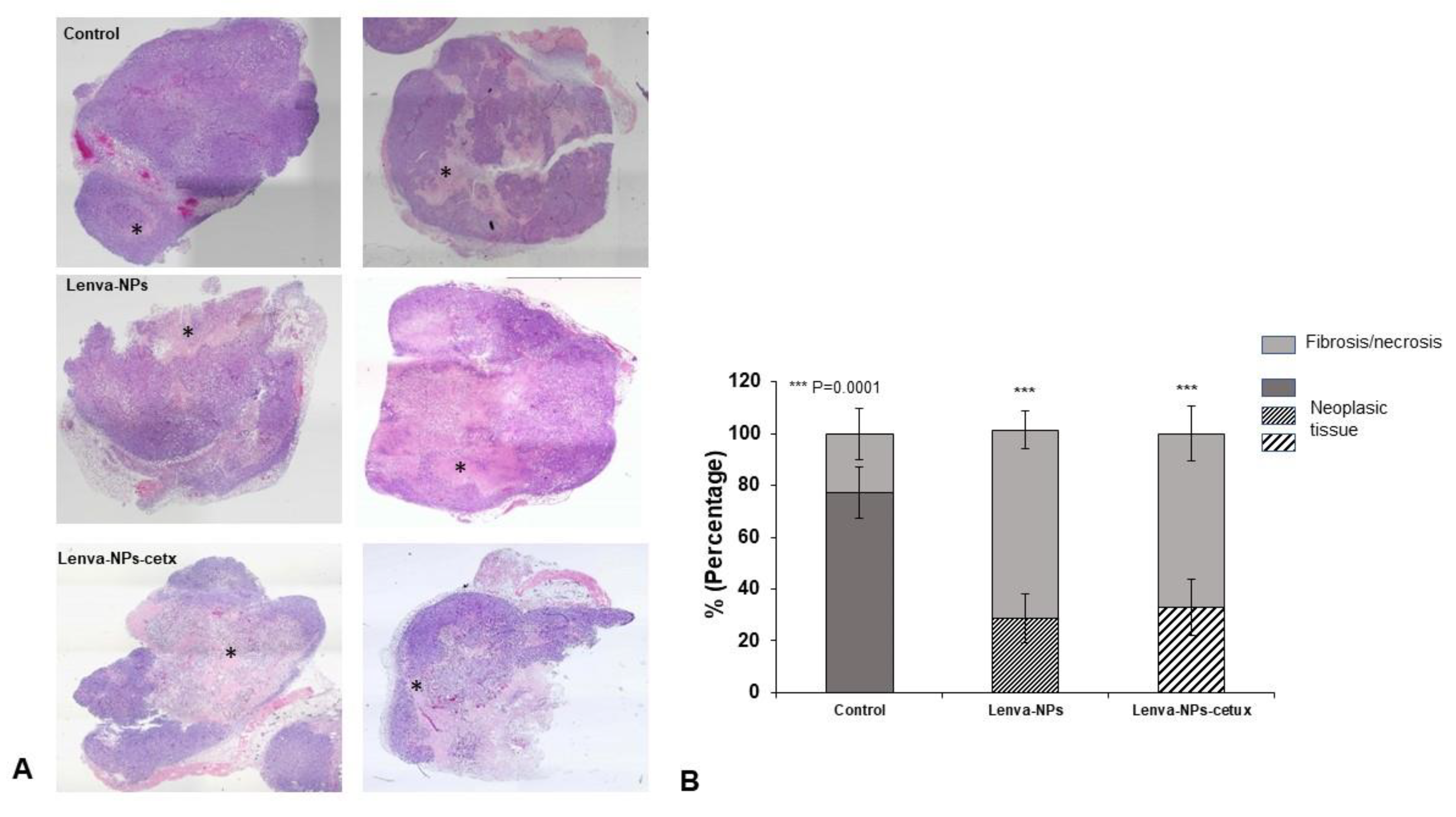 Biomolecules 13 01647 g008
