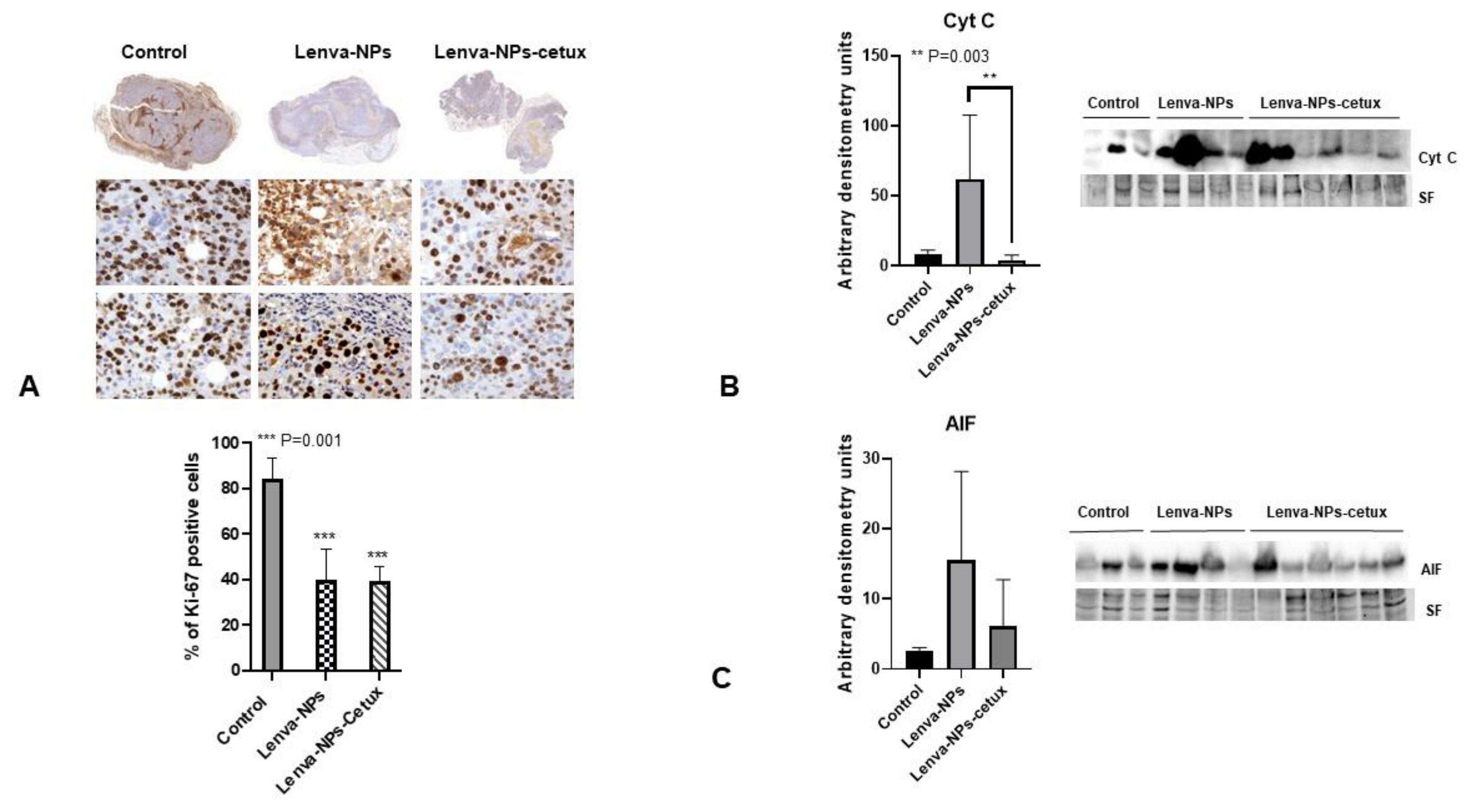 Biomolecules 13 01647 g010