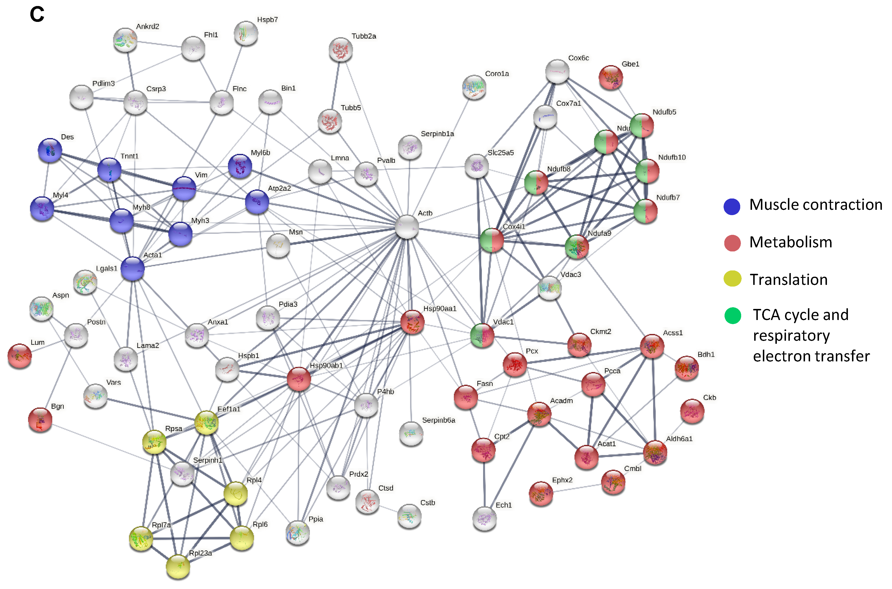 Biomolecules 13 01648 g001b