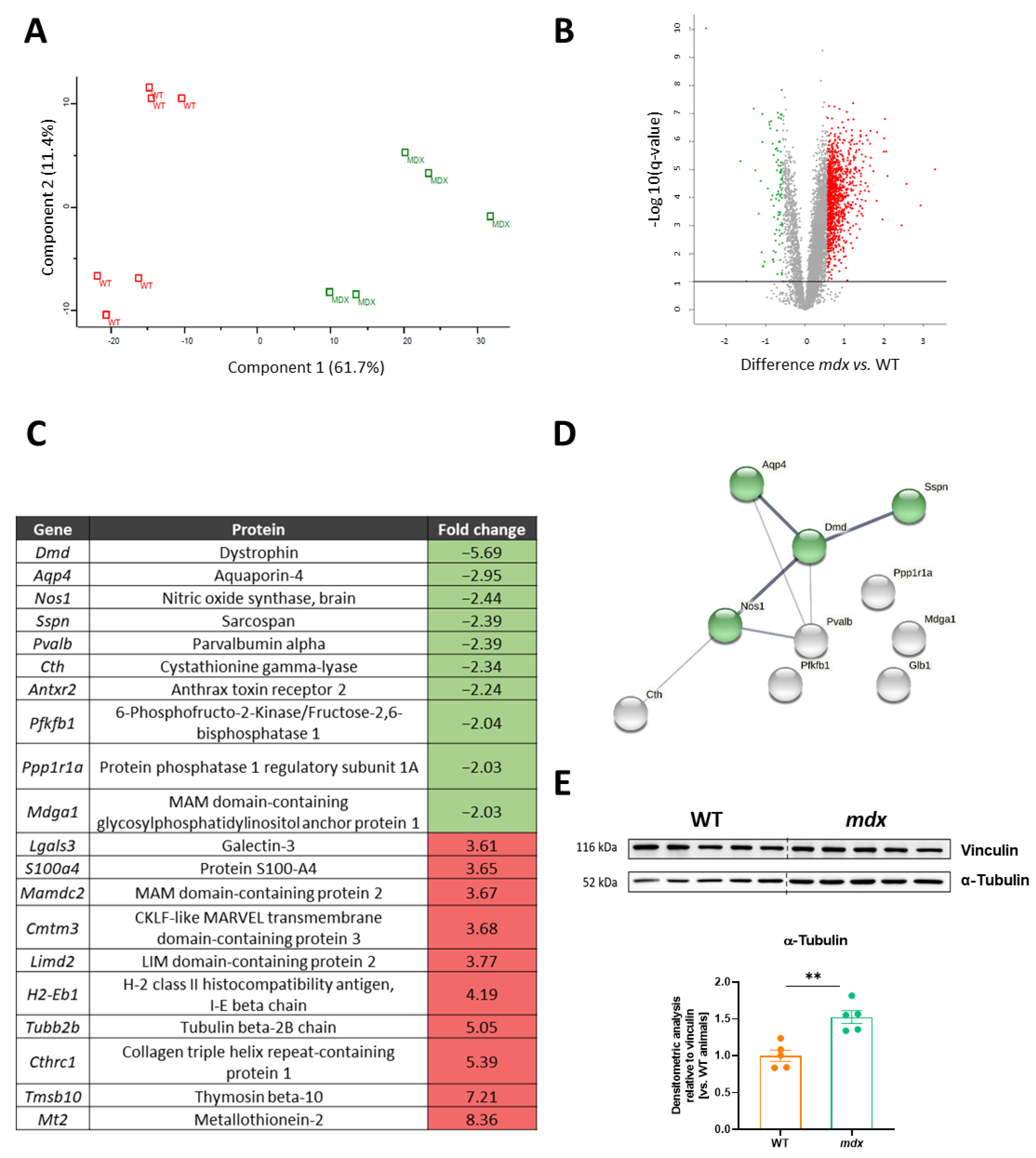 Biomolecules 13 01648 g002