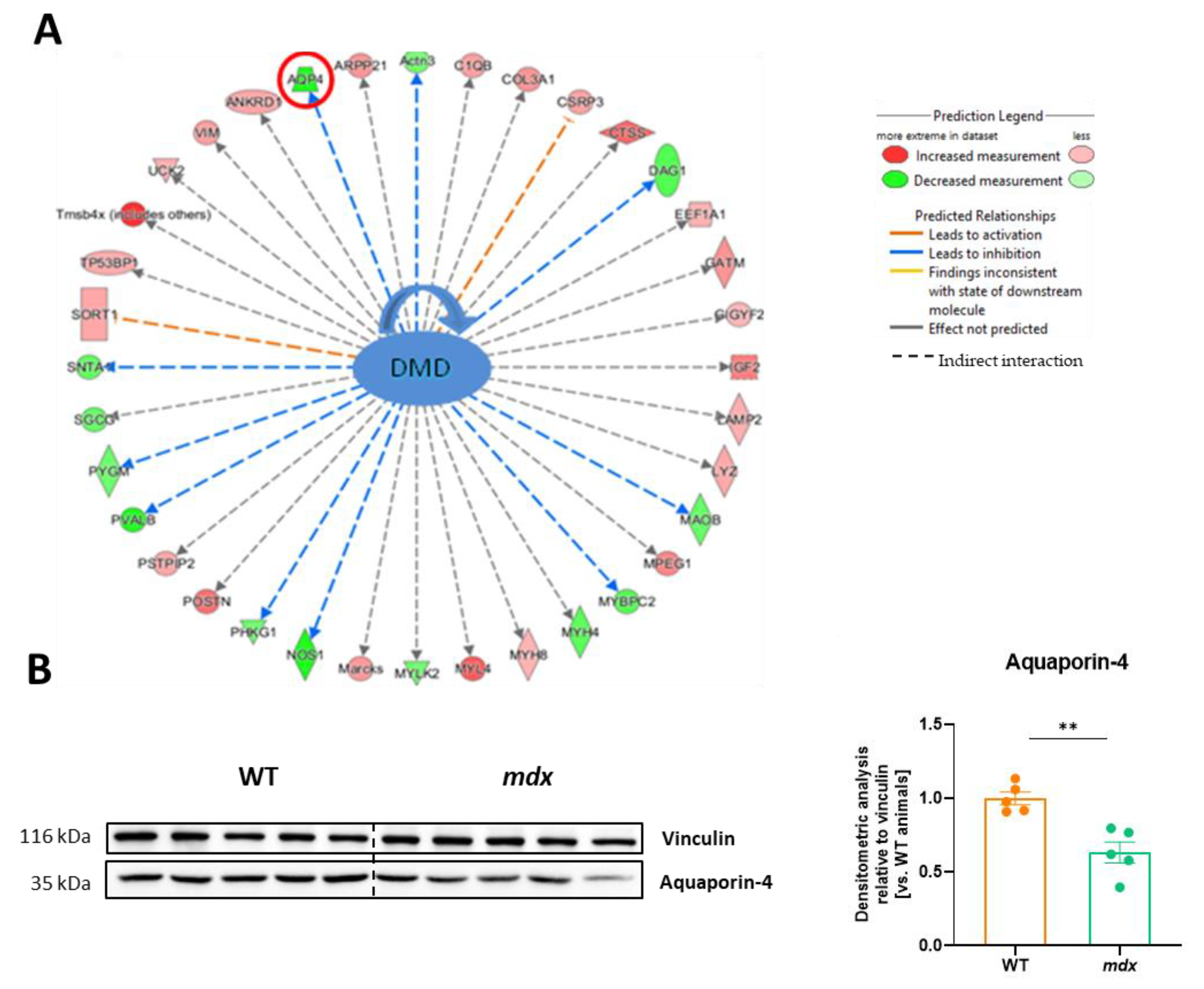 Biomolecules 13 01648 g006
