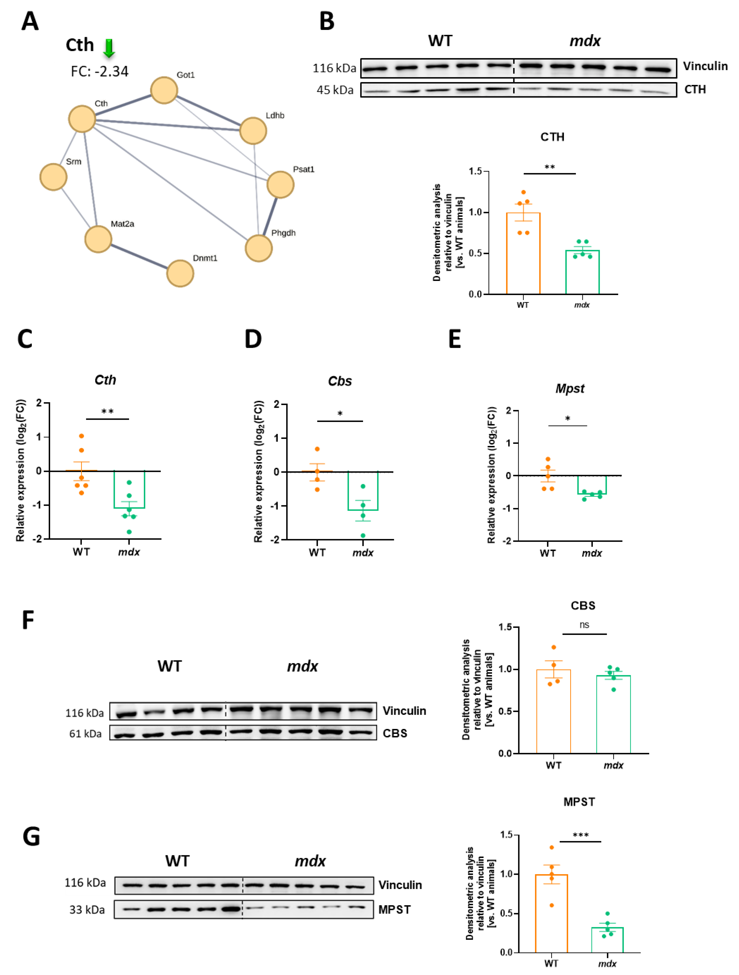 Biomolecules 13 01648 g007