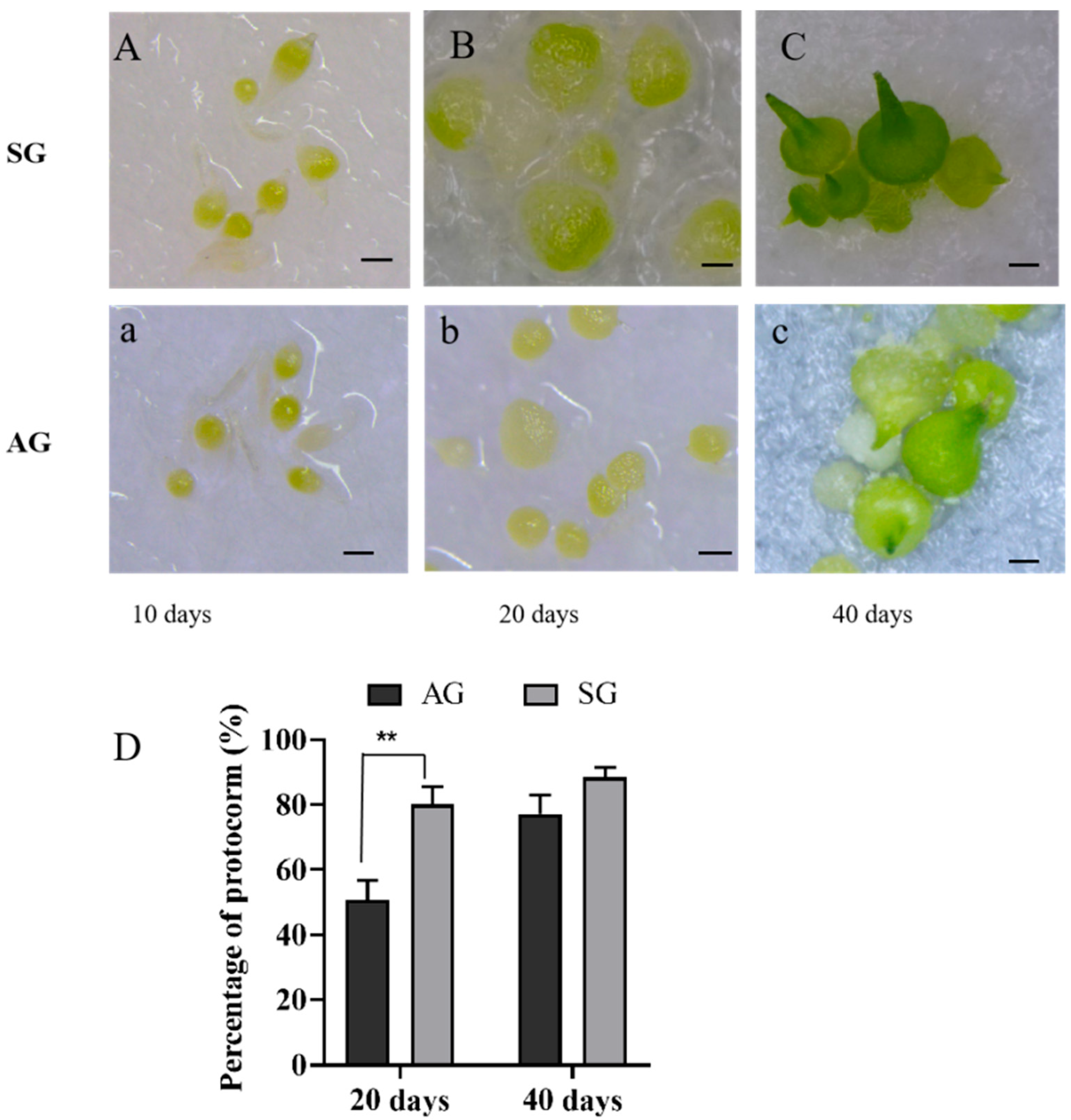Biomolecules 13 01649 g001
