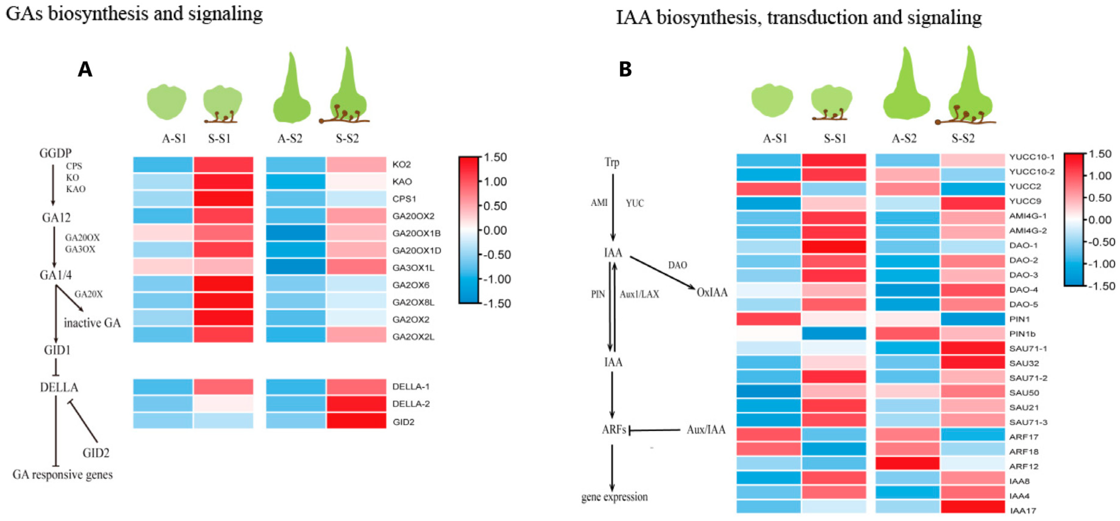 Biomolecules 13 01649 g004