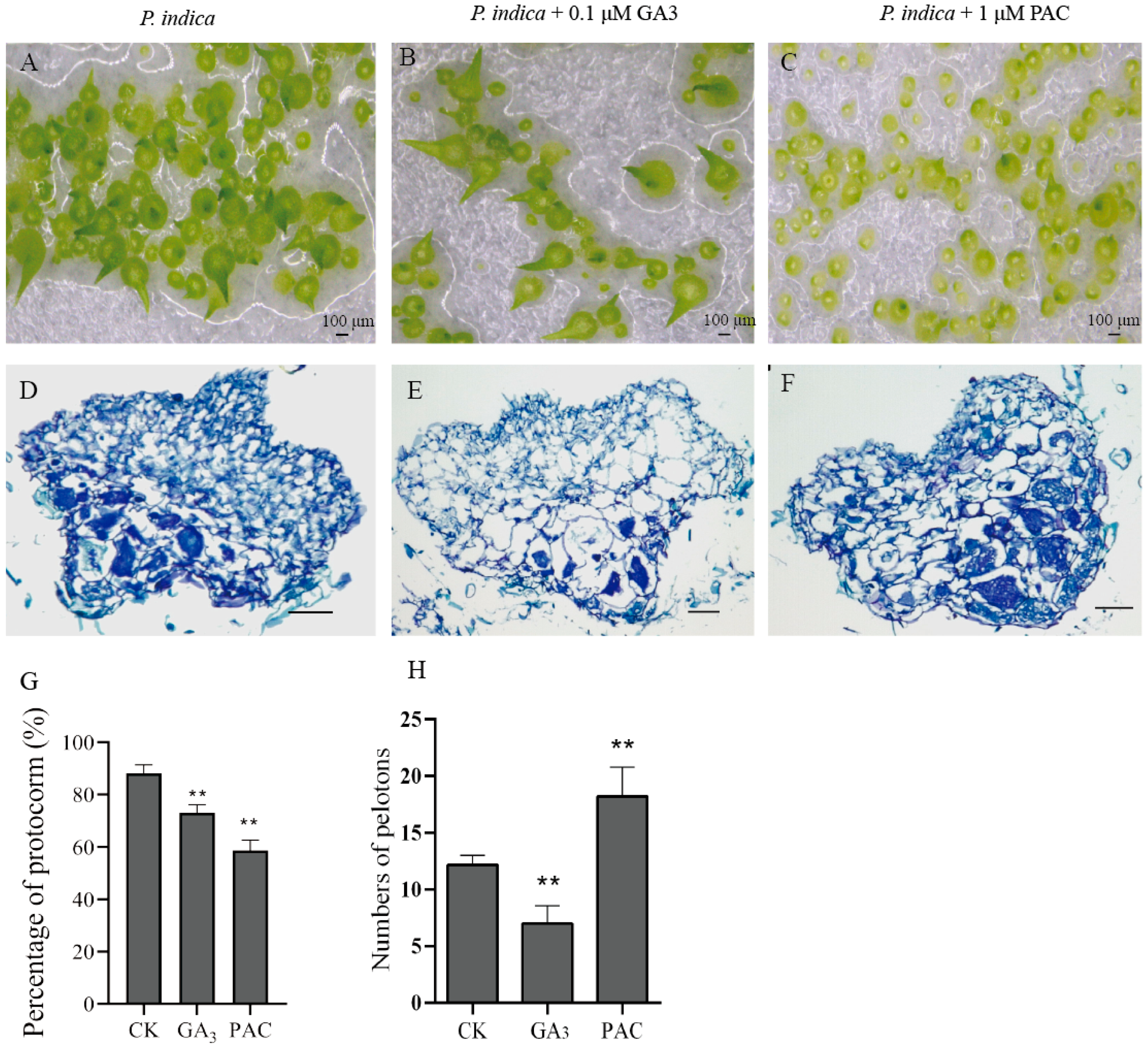 Biomolecules 13 01649 g005