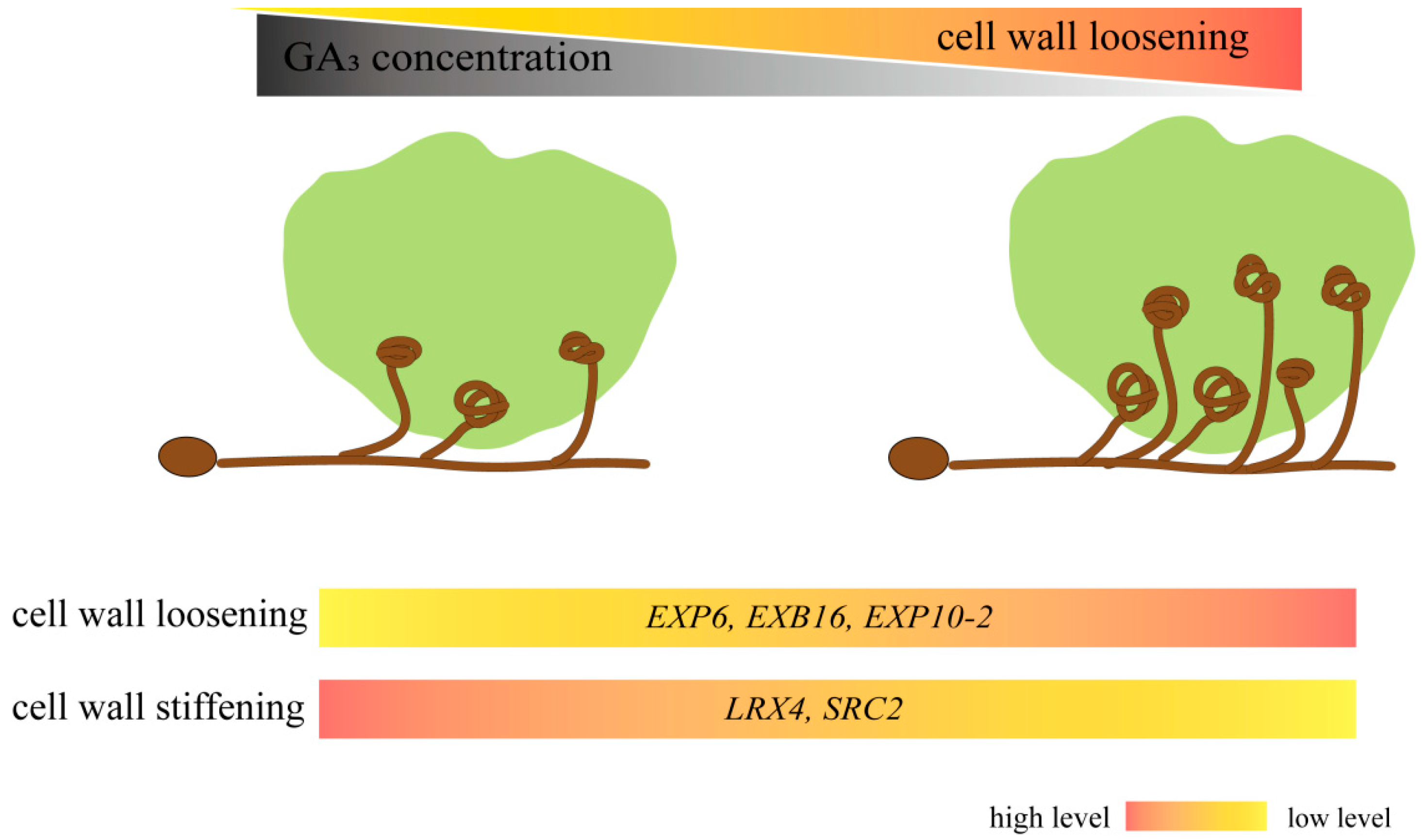 Biomolecules 13 01649 g008