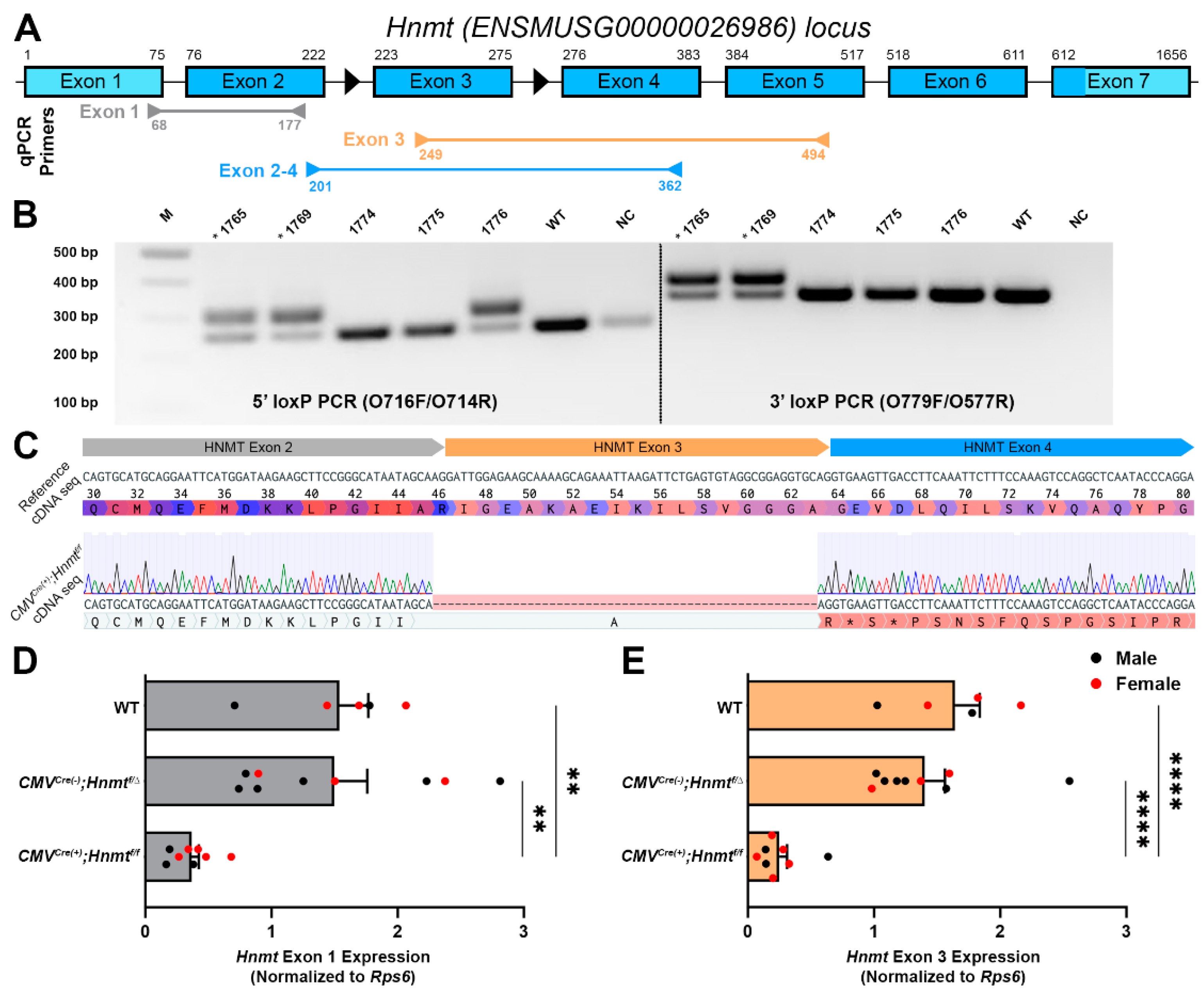 Biomolecules 13 01651 g002 Biomolecules 13 01651 g002