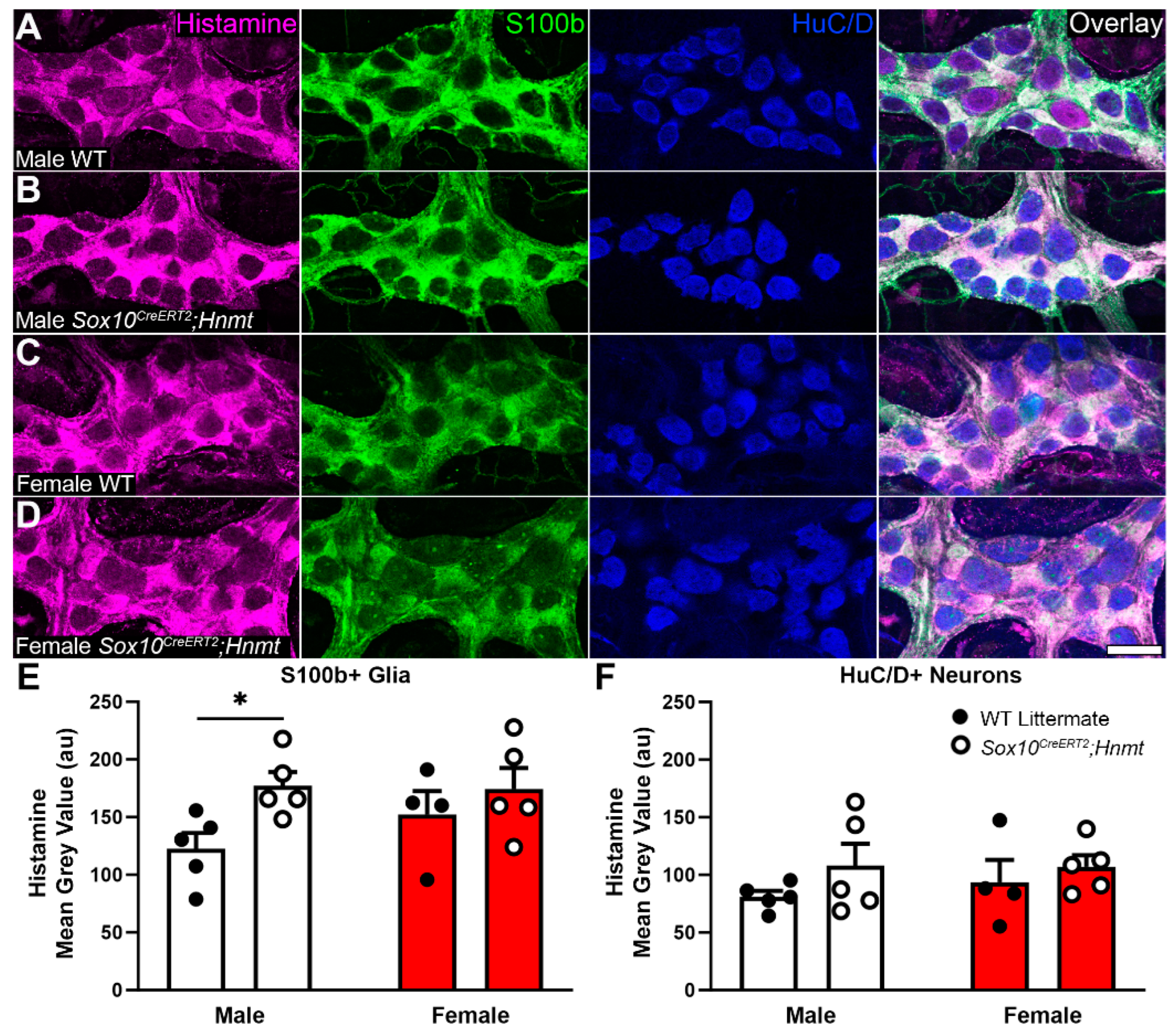 Biomolecules 13 01651 g003 Biomolecules 13 01651 g003