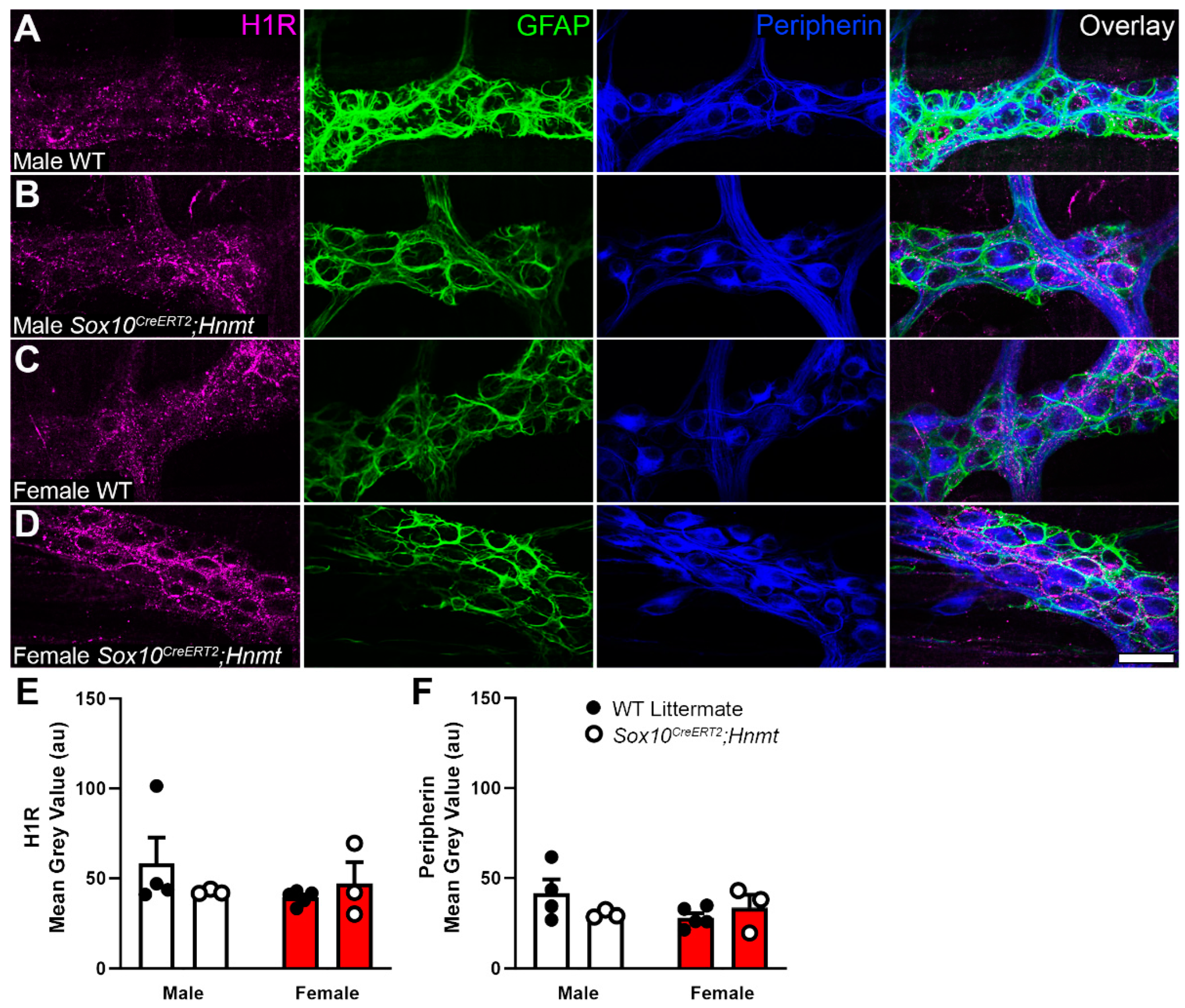 Biomolecules 13 01651 g006 Biomolecules 13 01651 g006
