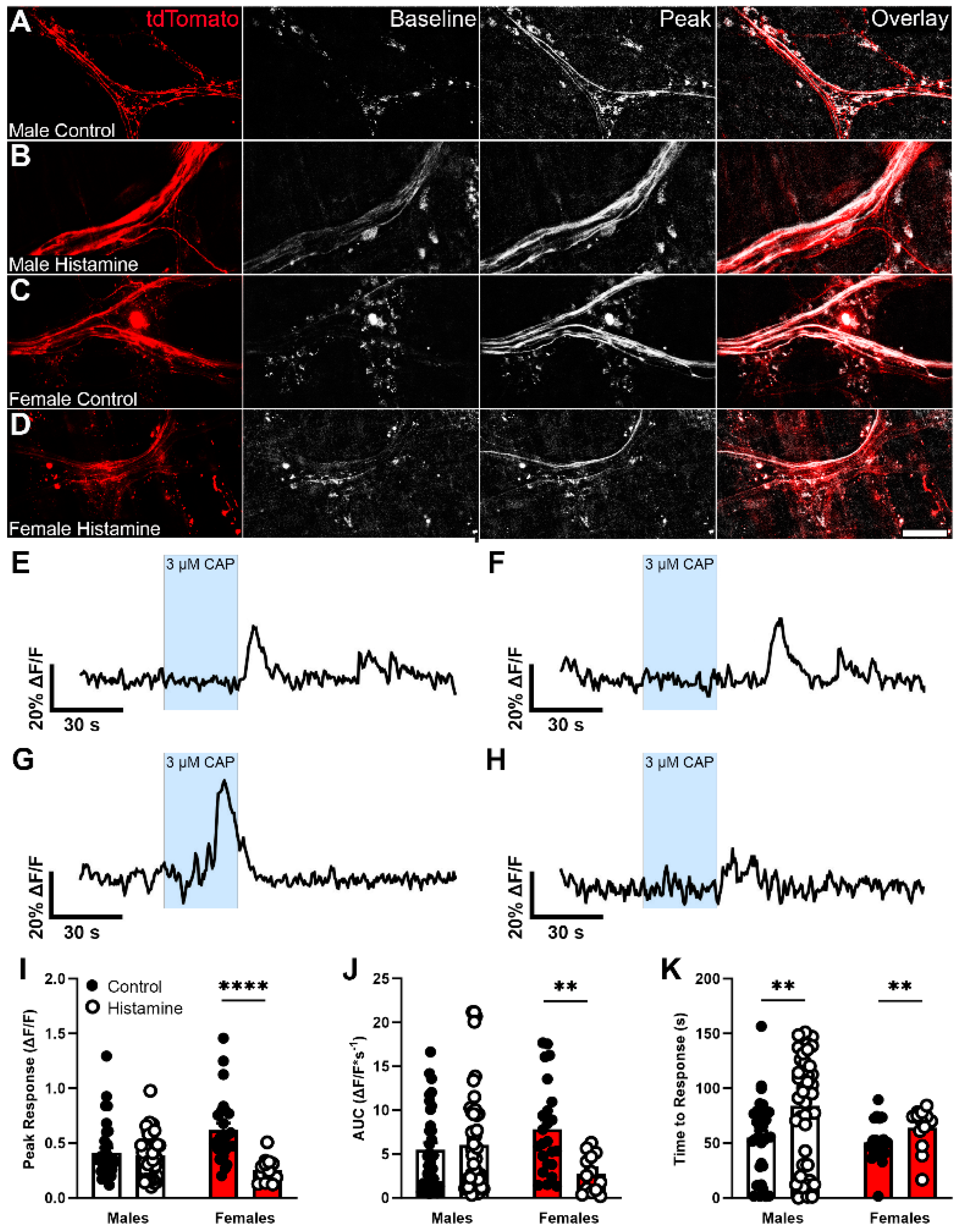 Biomolecules 13 01651 g007 Biomolecules 13 01651 g007