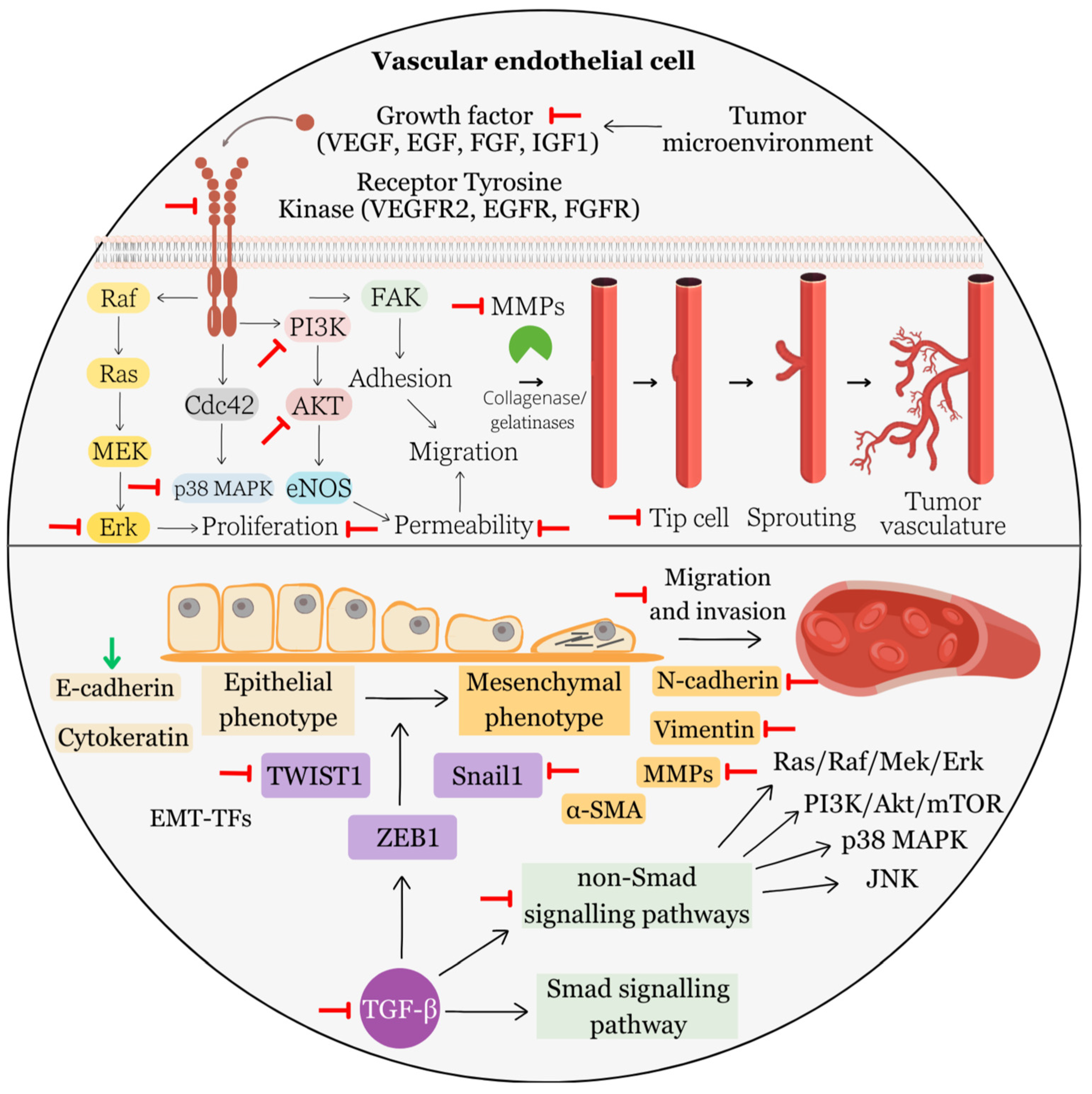 Biomolecules 13 01653 g006 Biomolecules 13 01653 g006