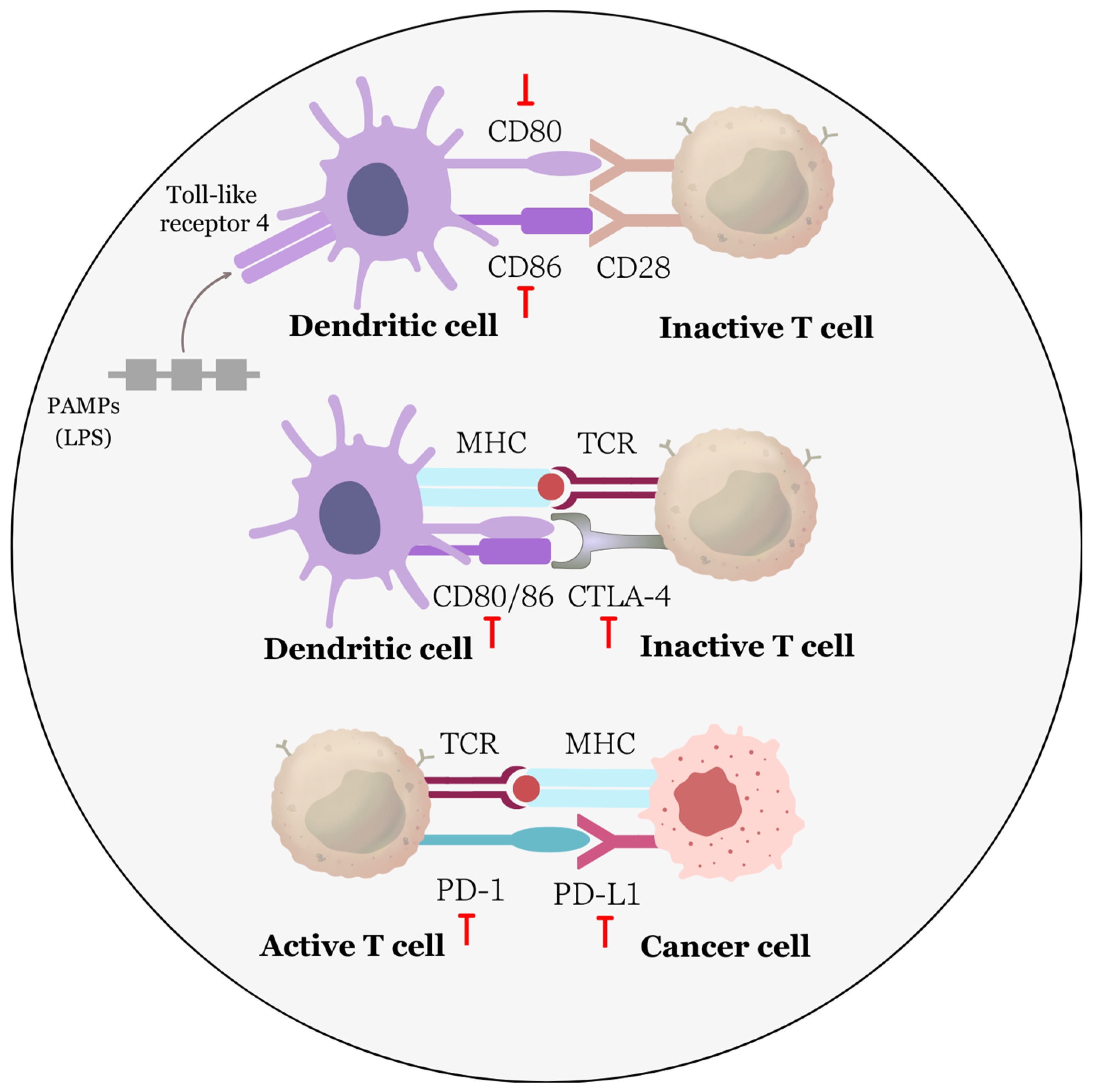 Biomolecules 13 01653 g007 Biomolecules 13 01653 g007