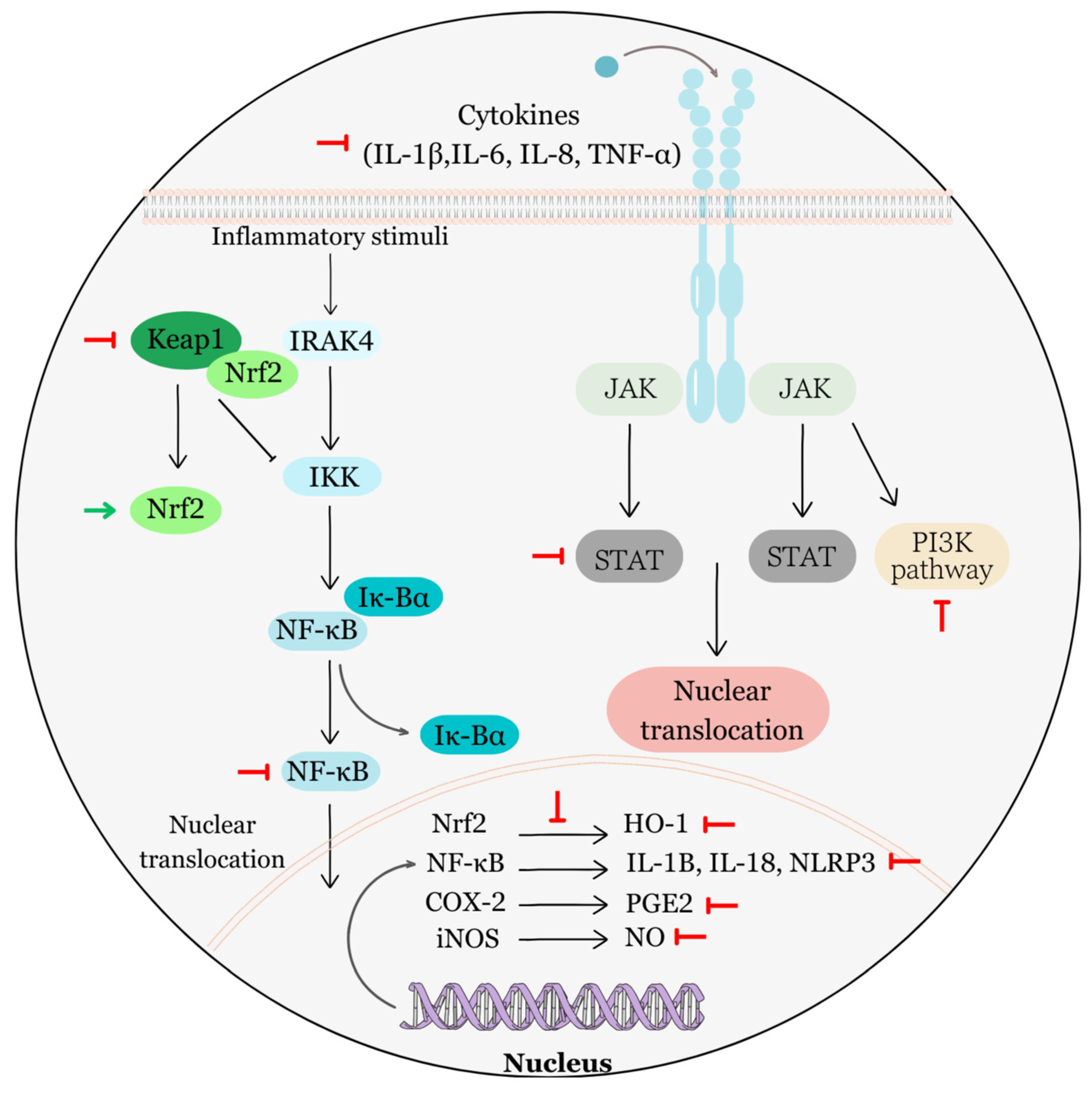 Biomolecules 13 01653 g008 Biomolecules 13 01653 g008