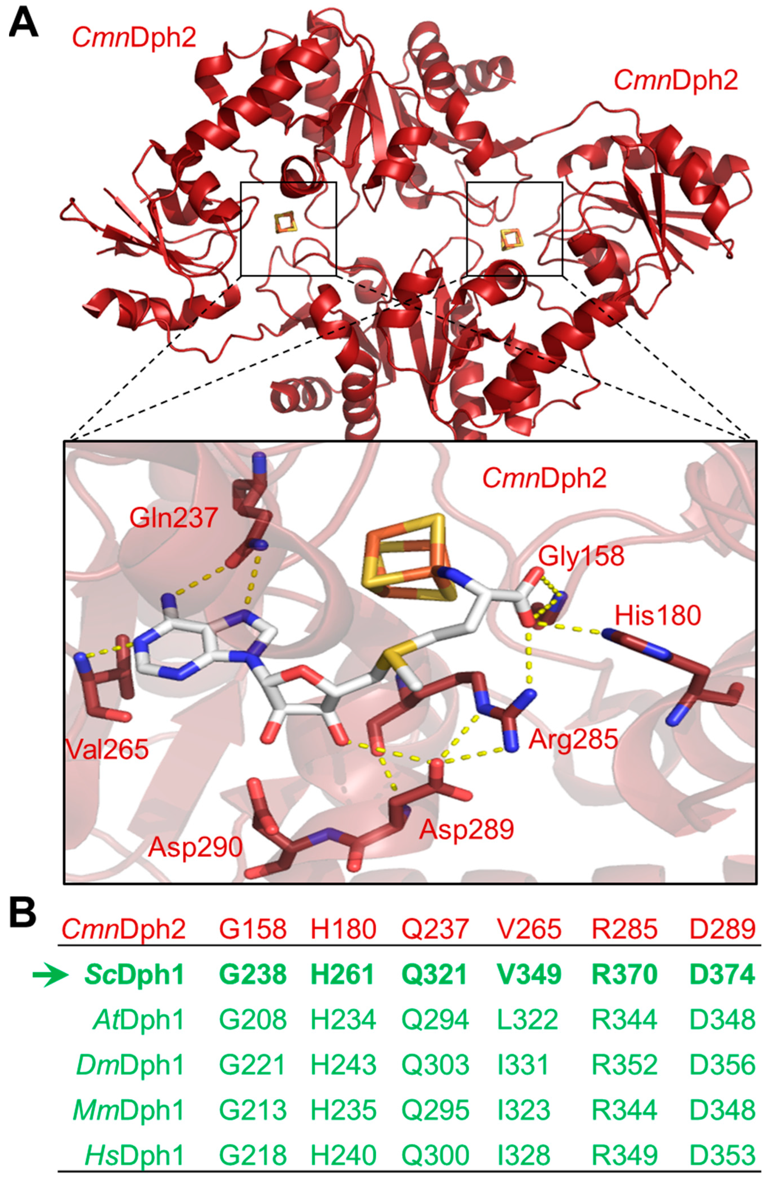 Biomolecules 13 01655 g001