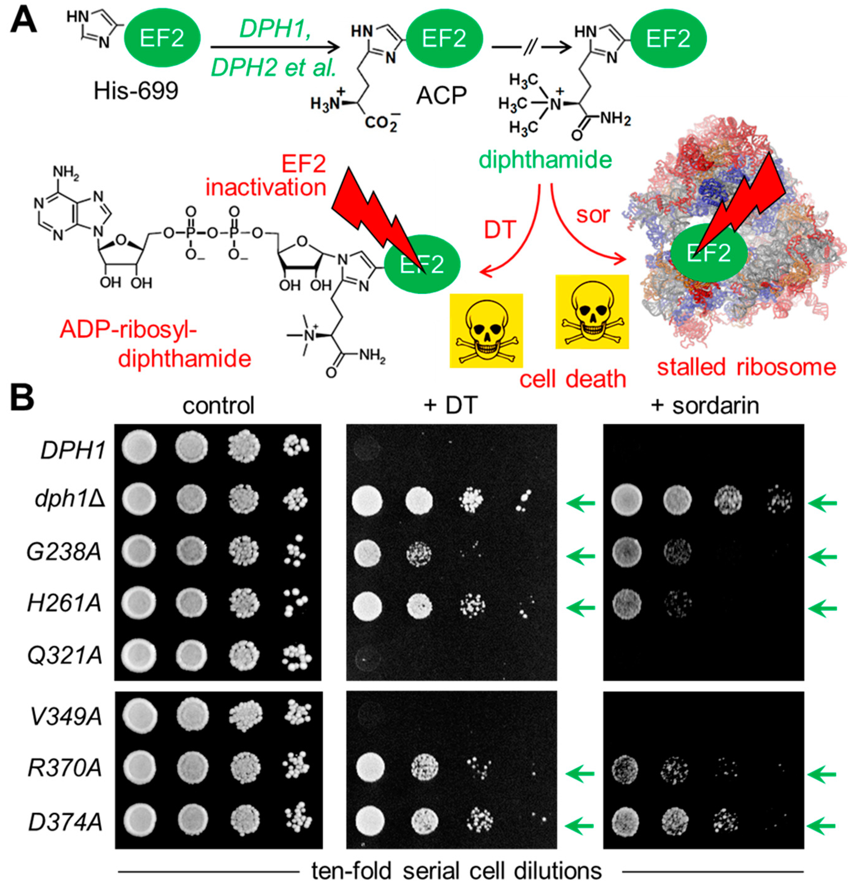 Biomolecules 13 01655 g002