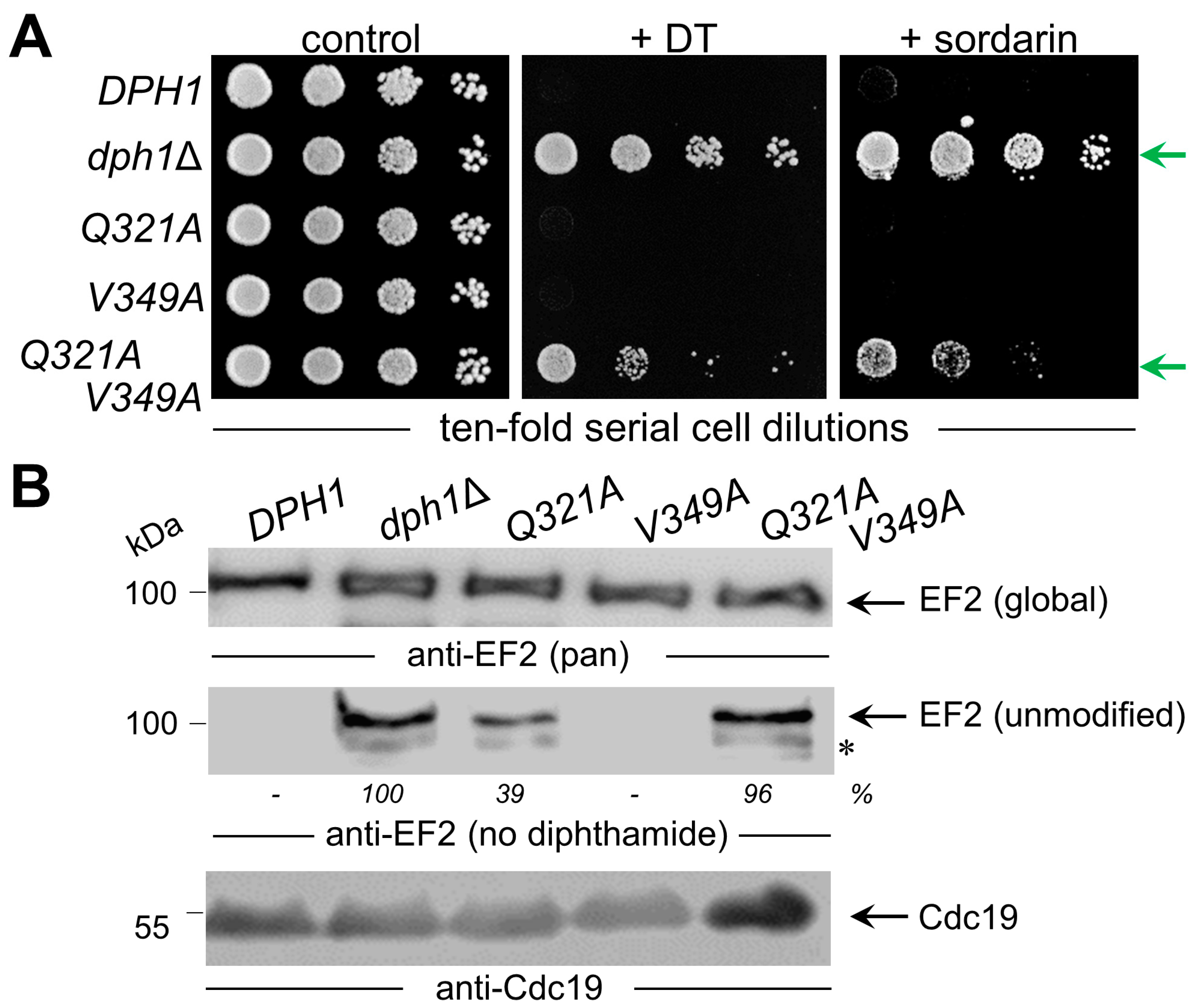 Biomolecules 13 01655 g004