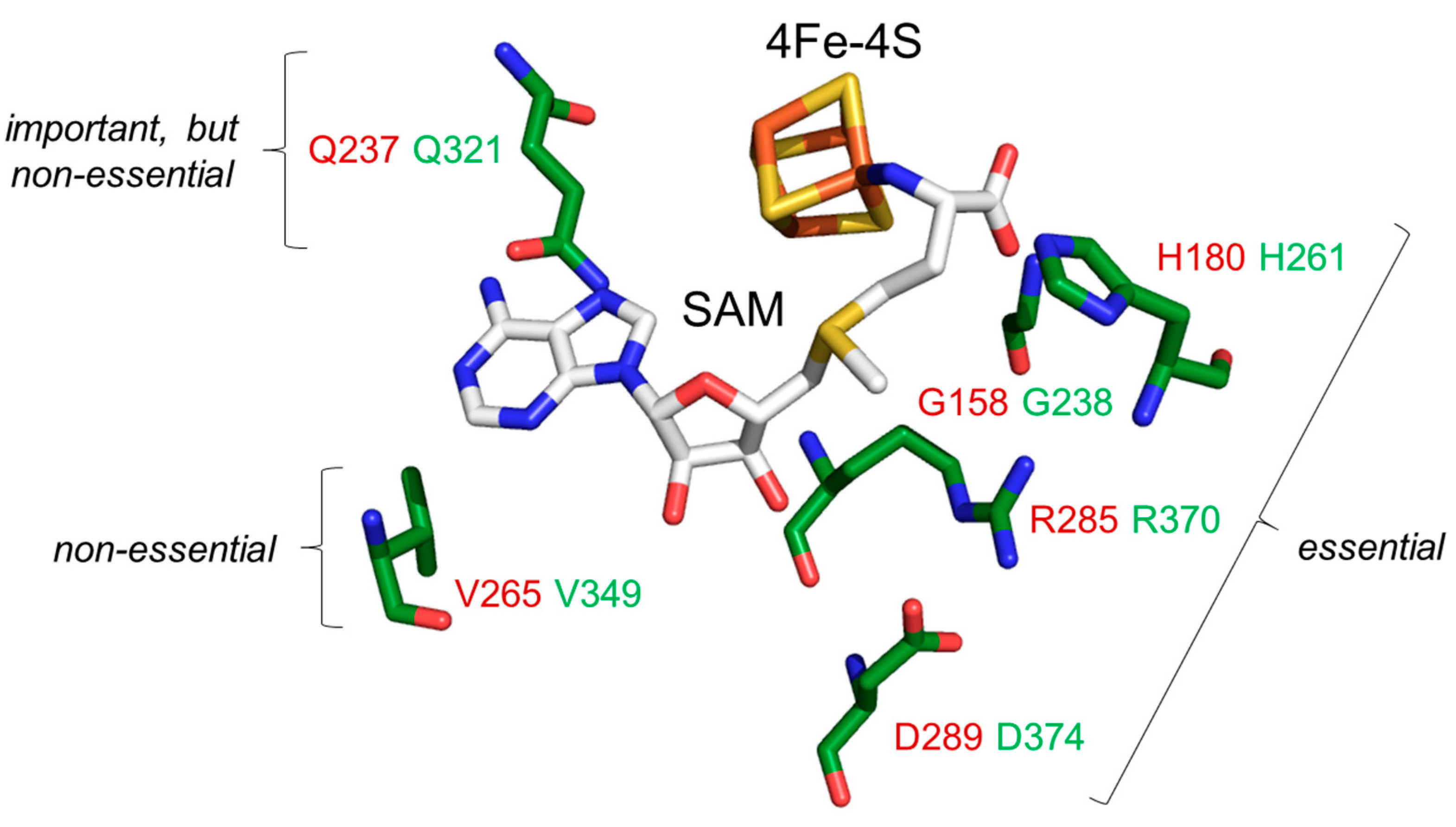 Biomolecules 13 01655 g005