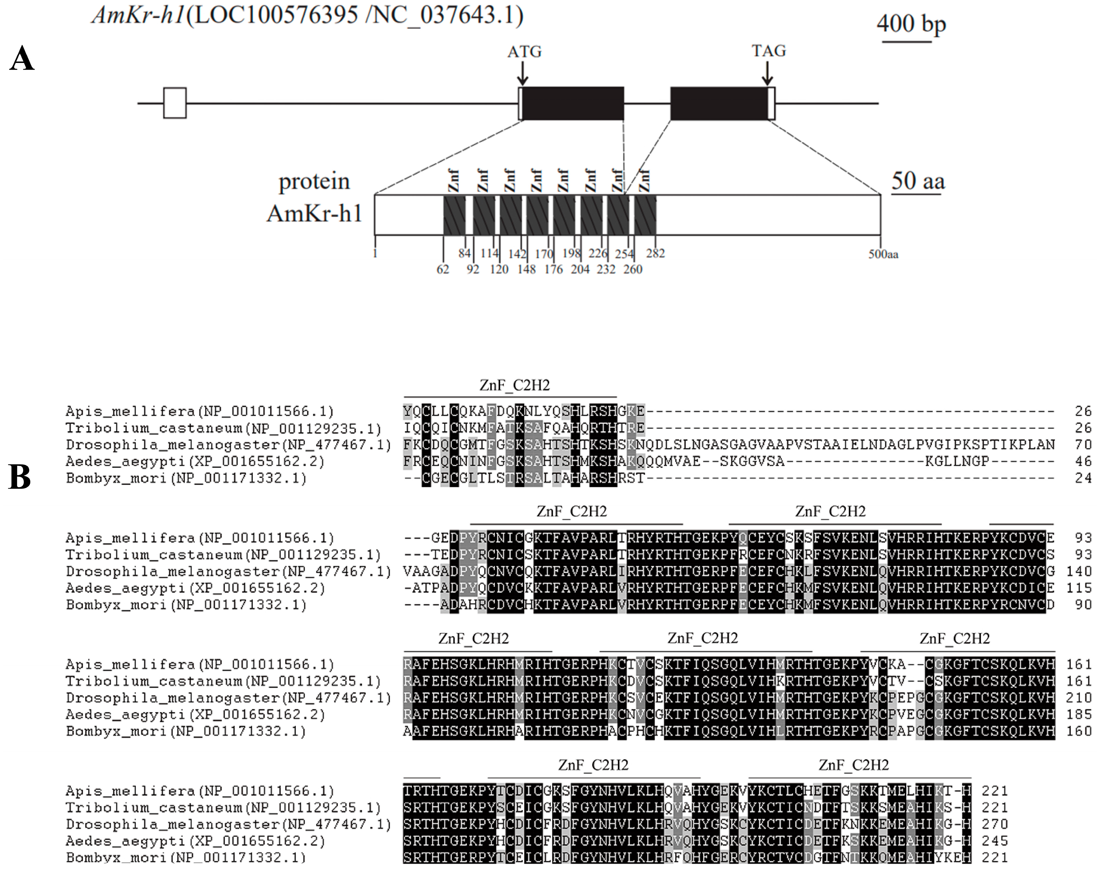 Biomolecules 13 01657 g001