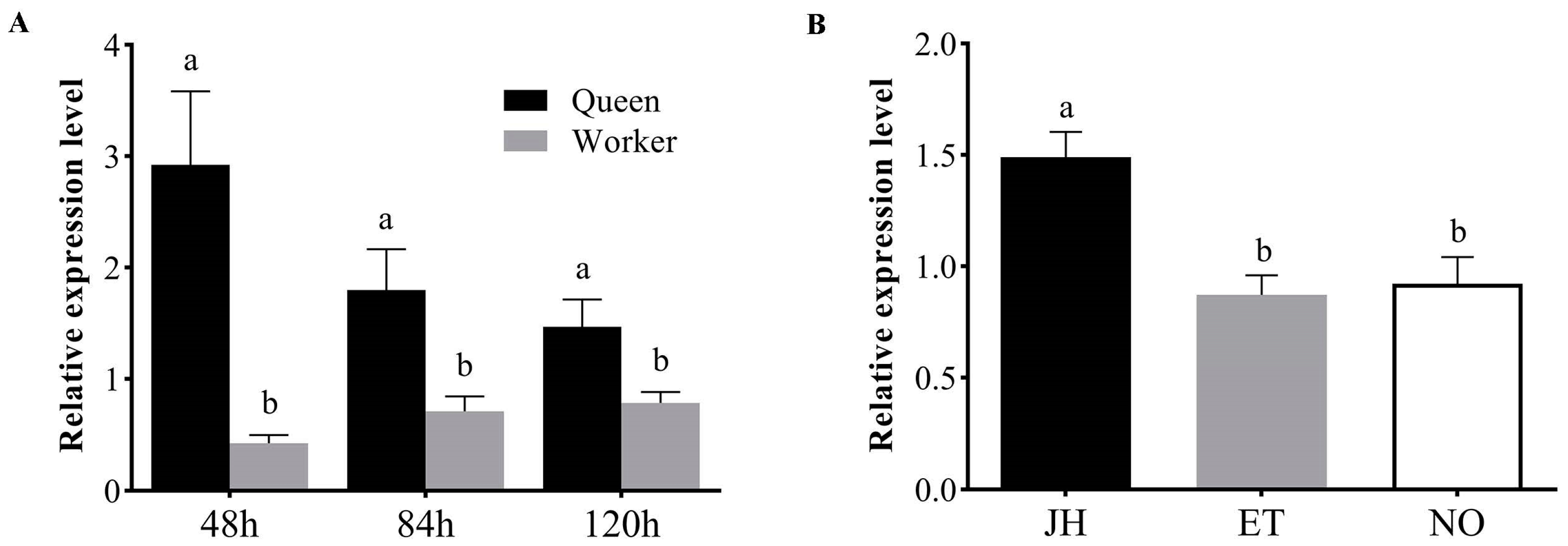 Biomolecules 13 01657 g002