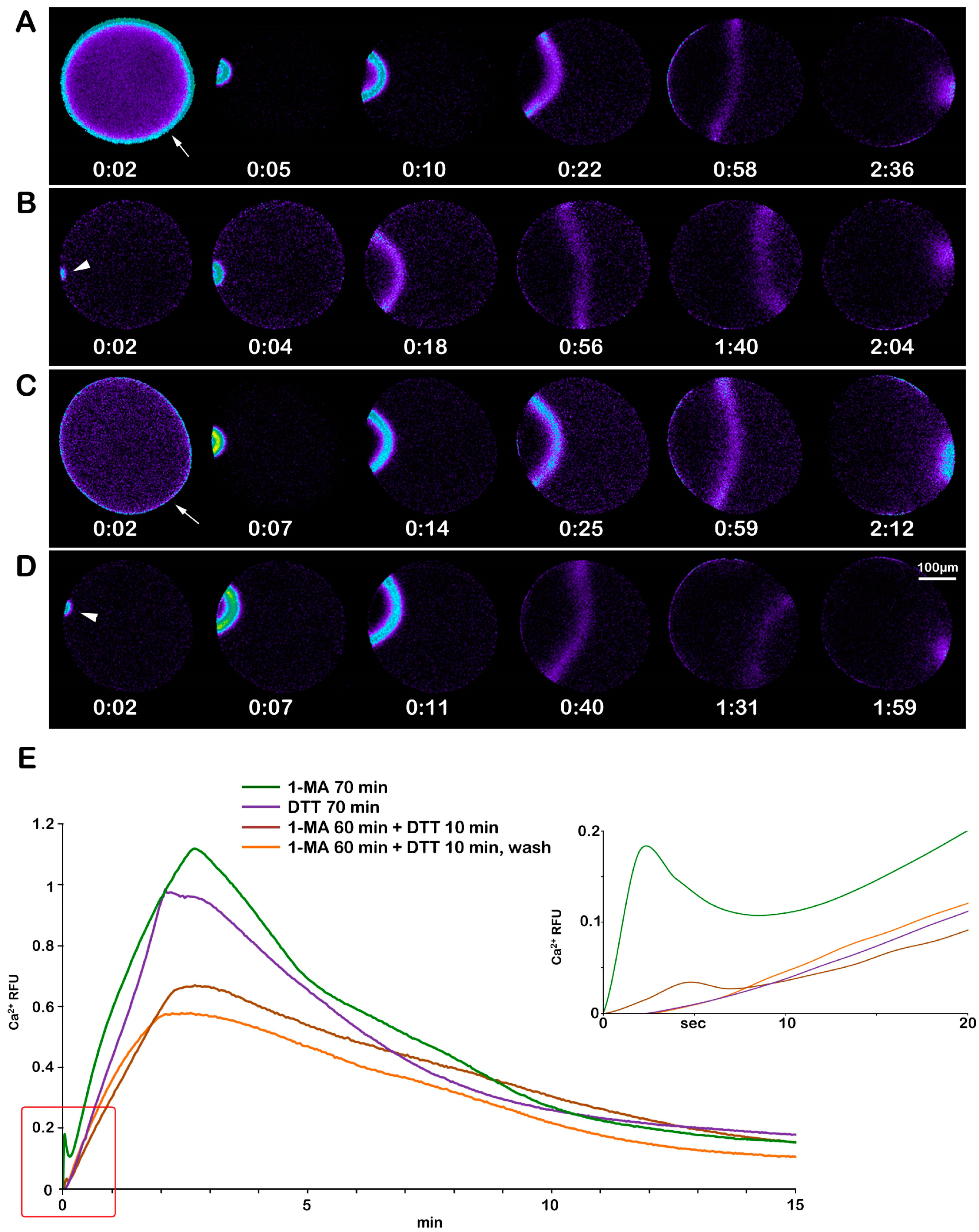 Biomolecules 13 01659 g008