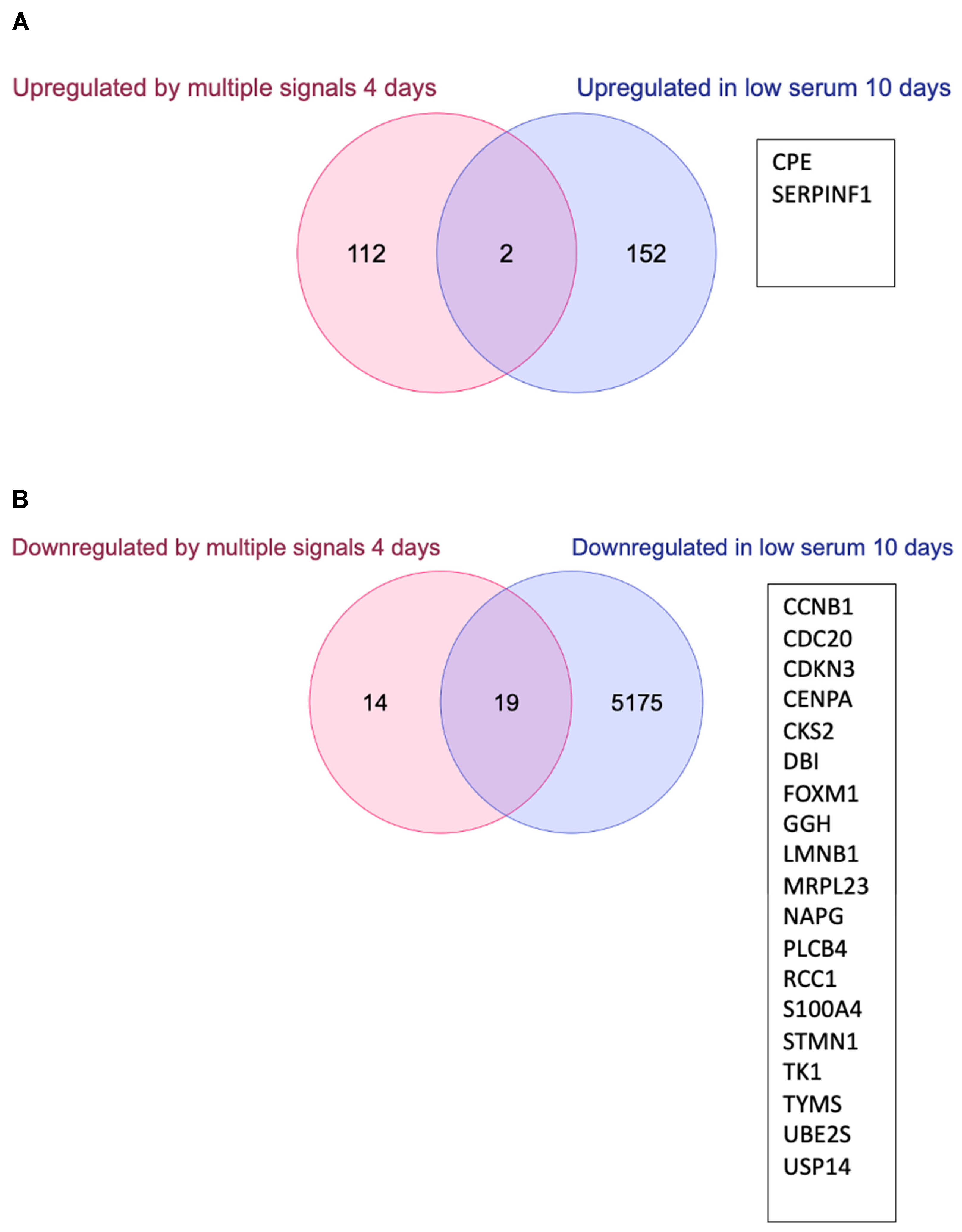 Biomolecules 13 01662 g004 Biomolecules 13 01662 g004