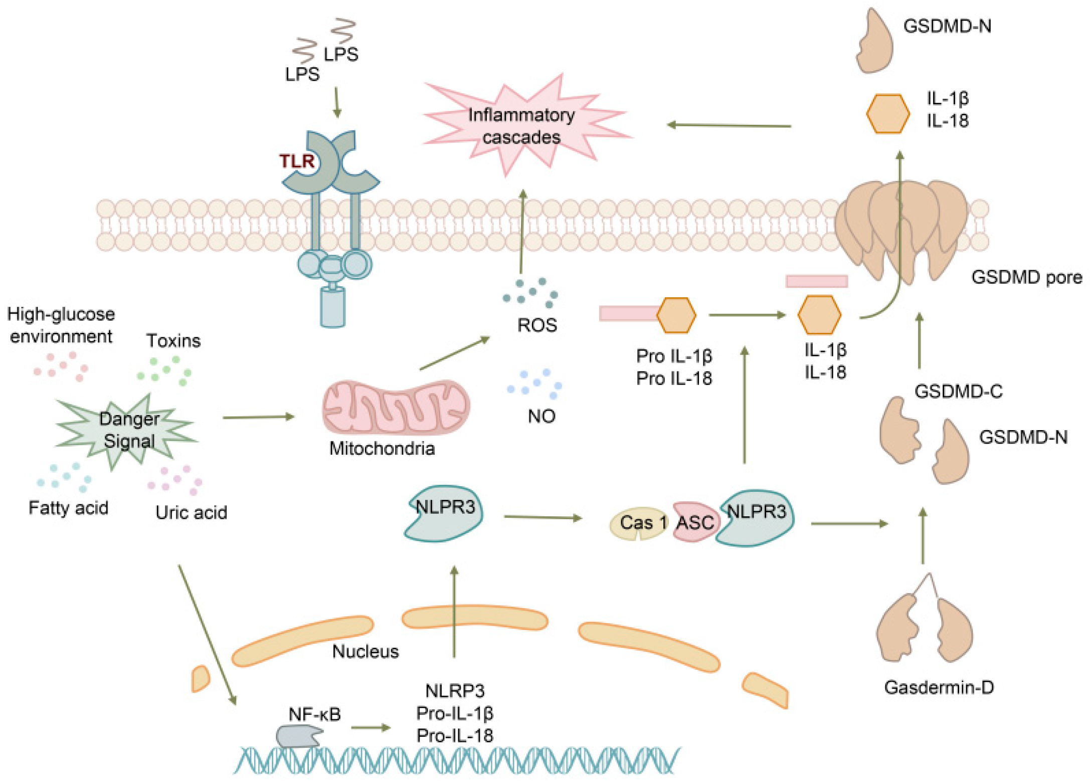 Biomolecules 13 01664 g003