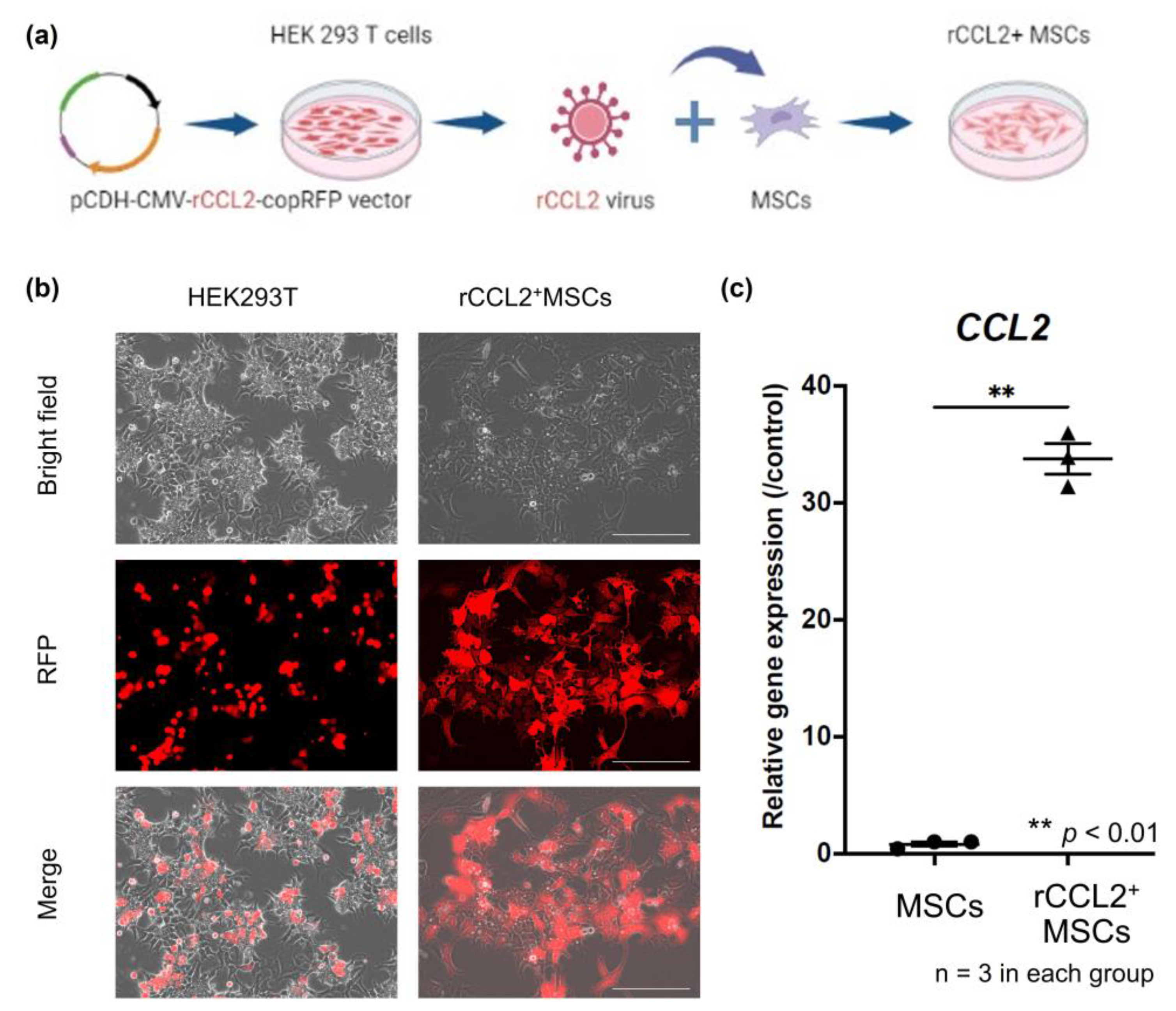 Biomolecules 13 01665 g001