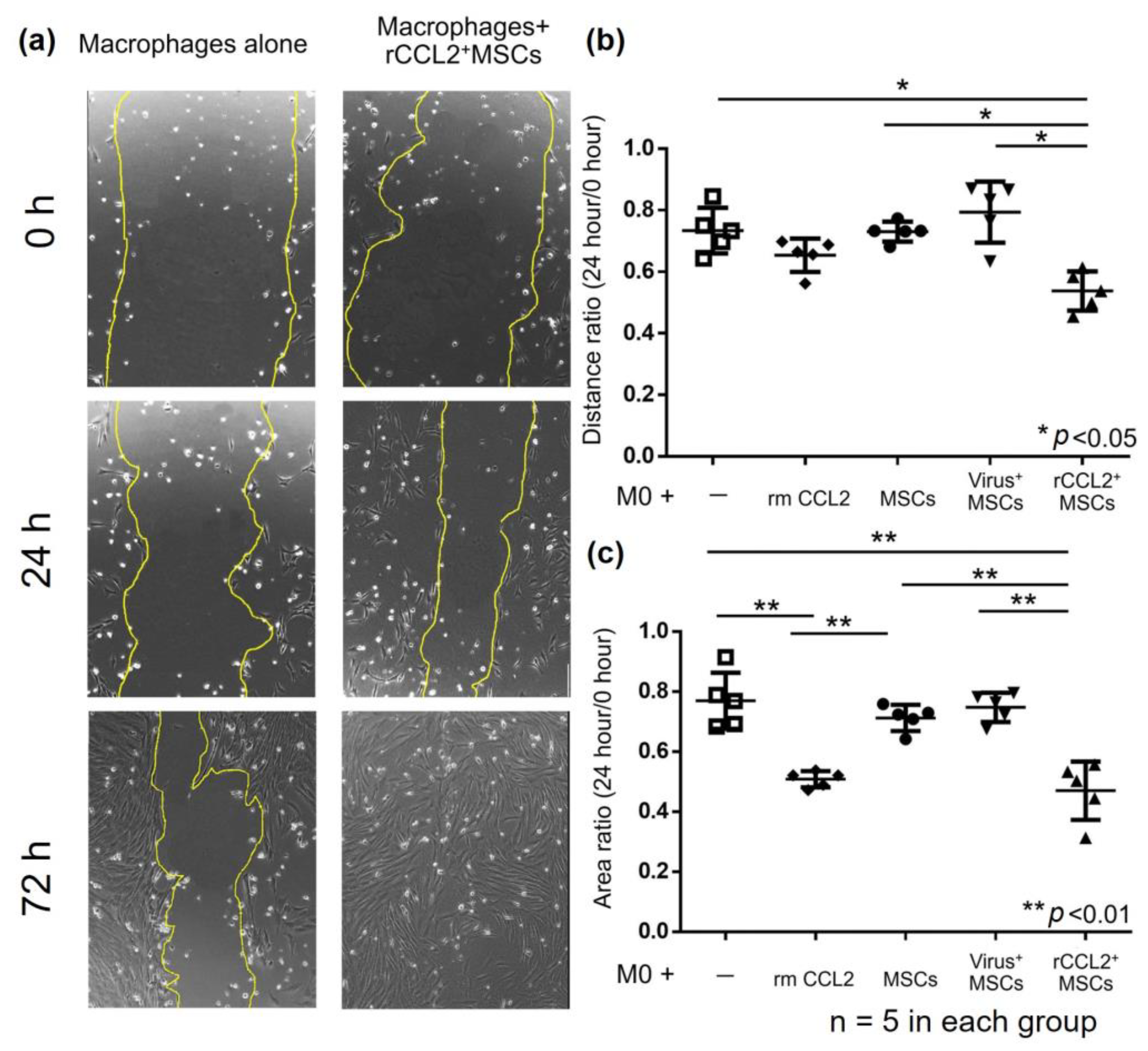 Biomolecules 13 01665 g004