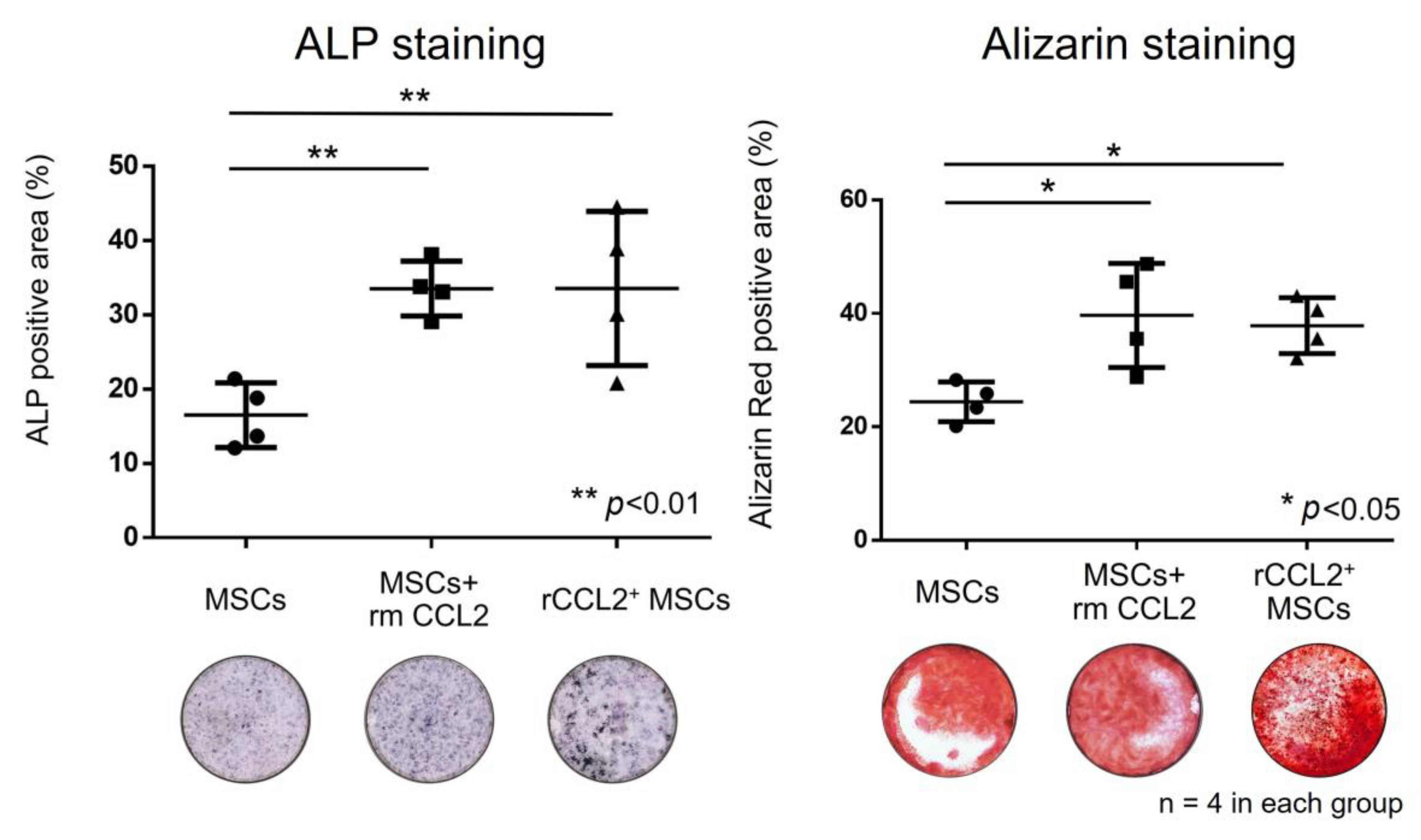 Biomolecules 13 01665 g005