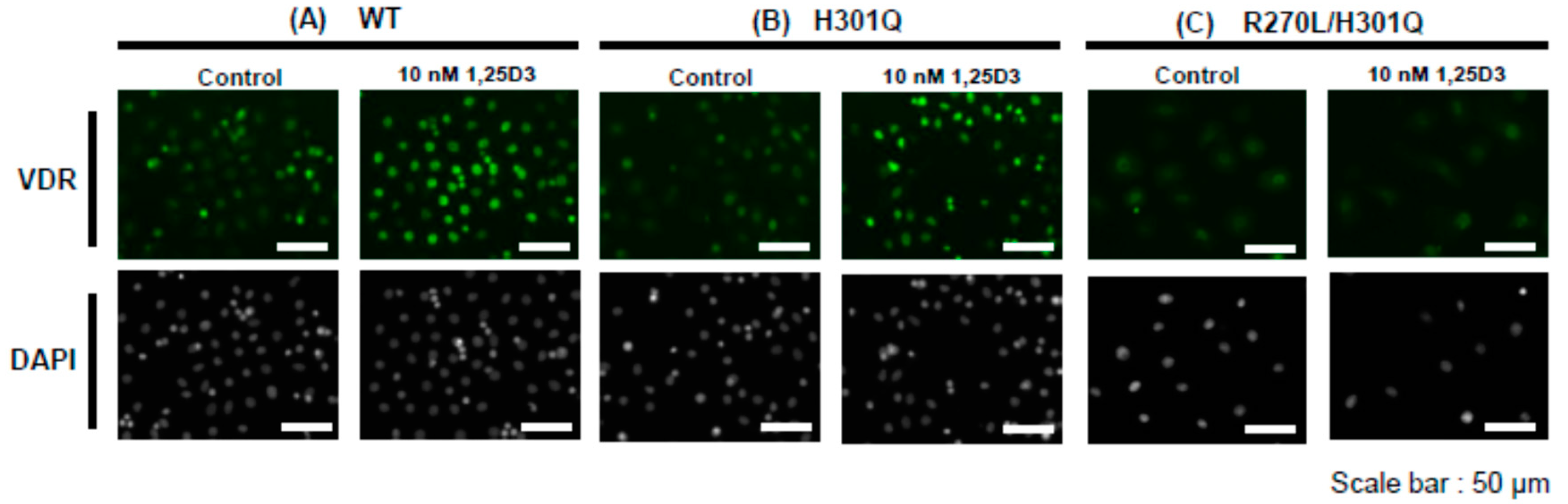 Biomolecules 13 01666 g002