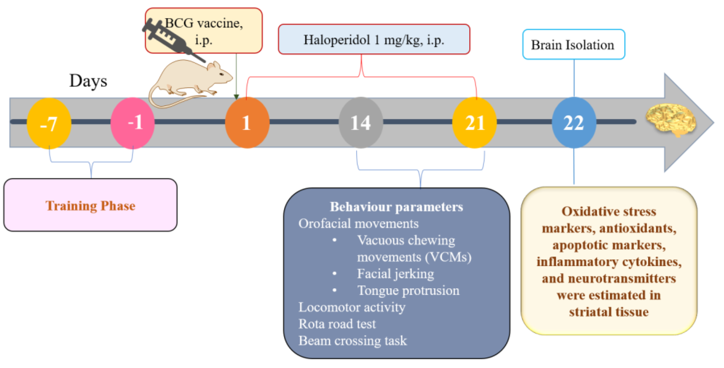 Biomolecules 13 01667 g001