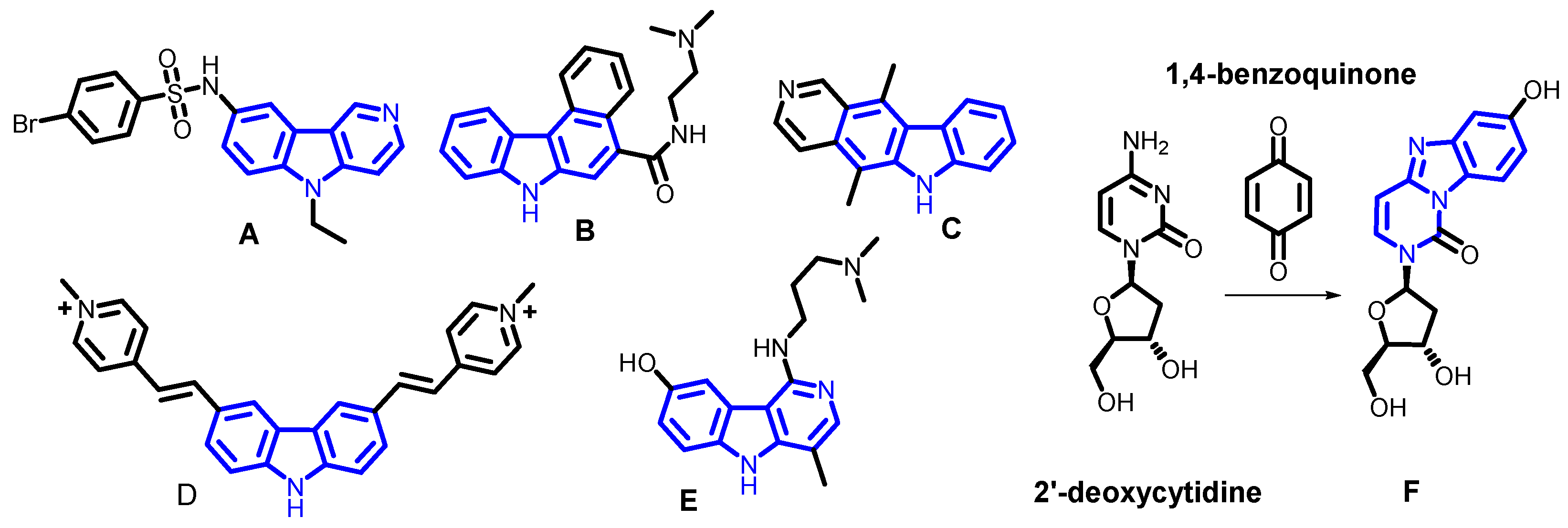 Biomolecules 13 01669 g001