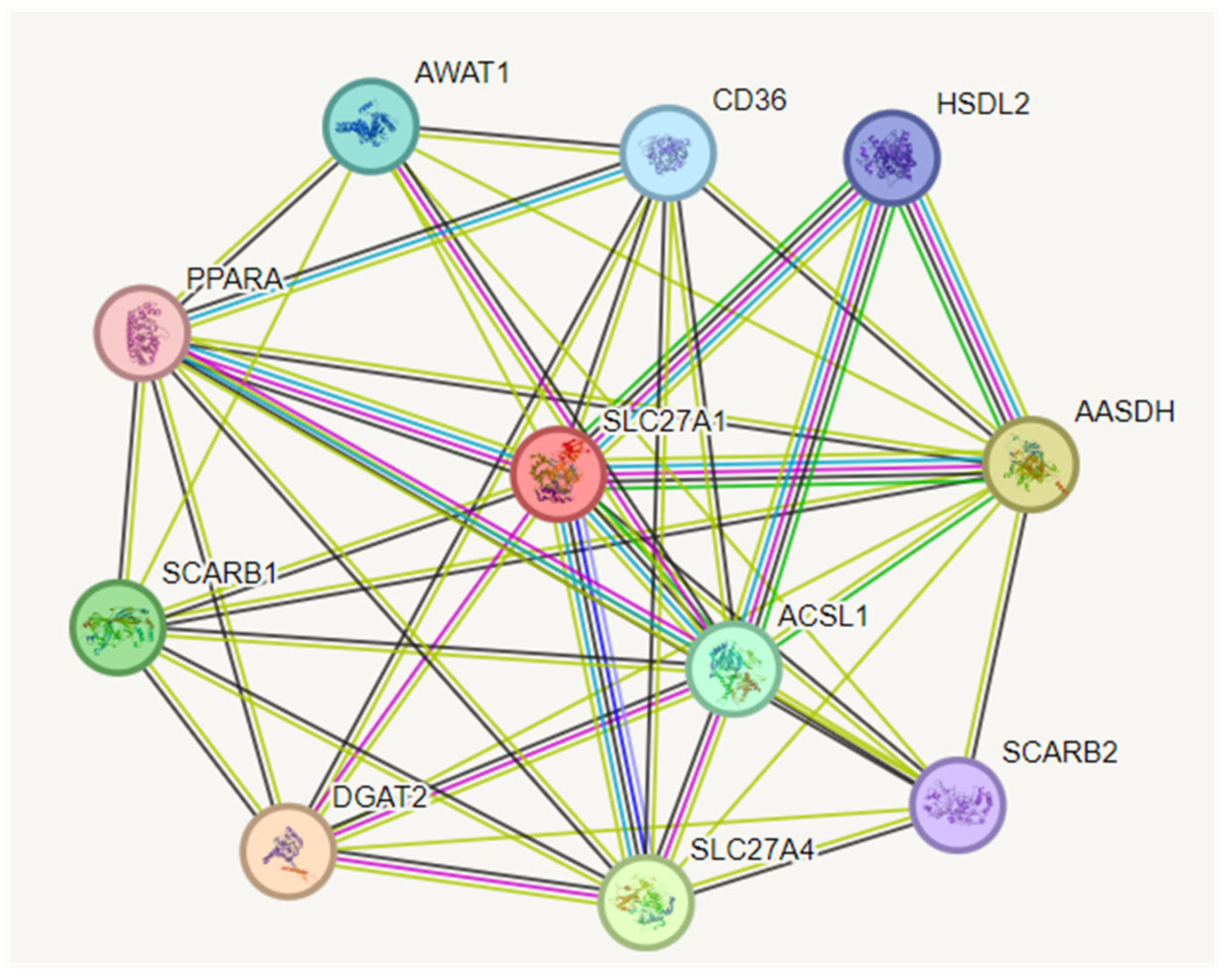 Biomolecules 13 01670 g004 Biomolecules 13 01670 g004