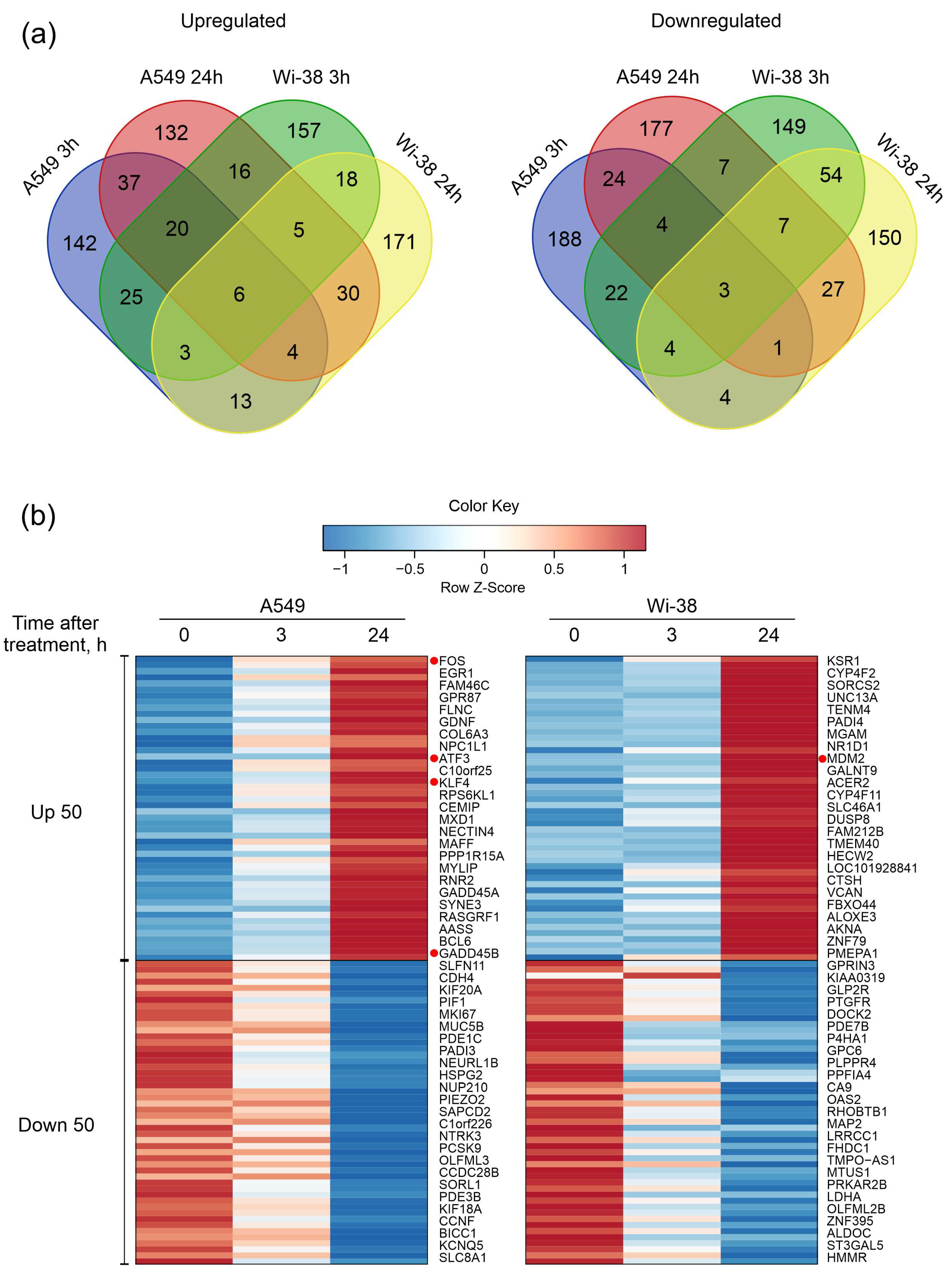 Biomolecules 13 01672 g003