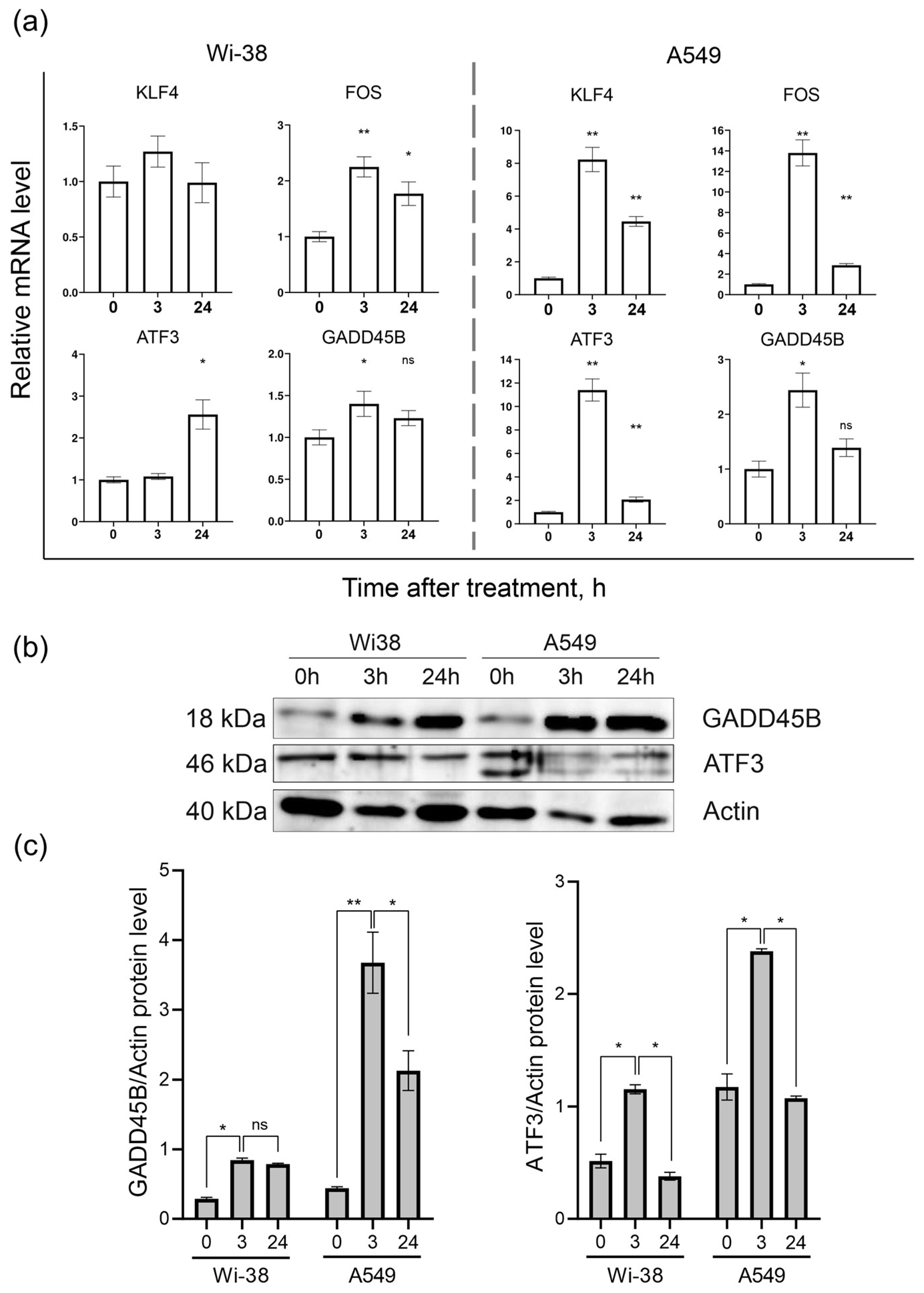Biomolecules 13 01672 g006