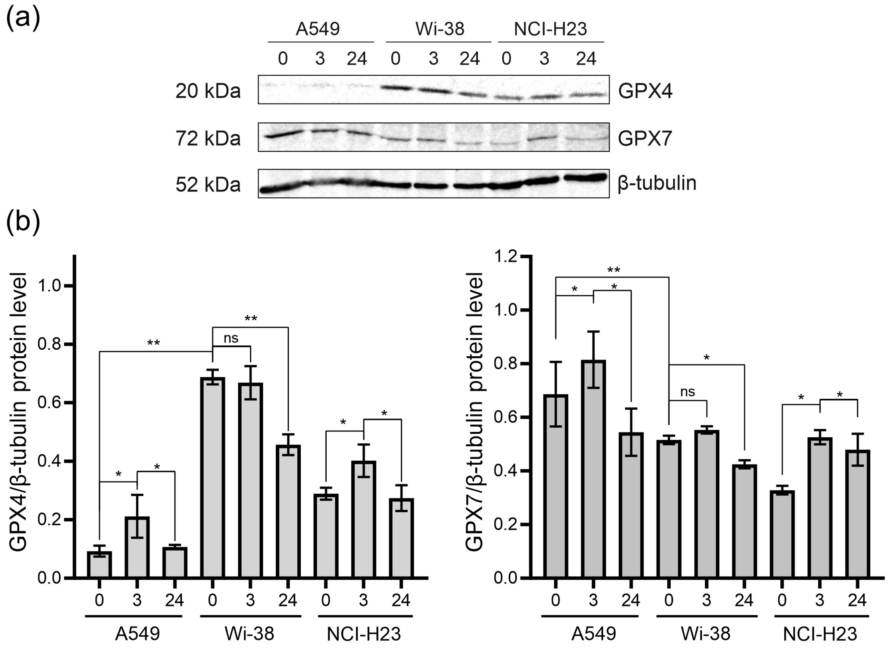 Biomolecules 13 01672 g008