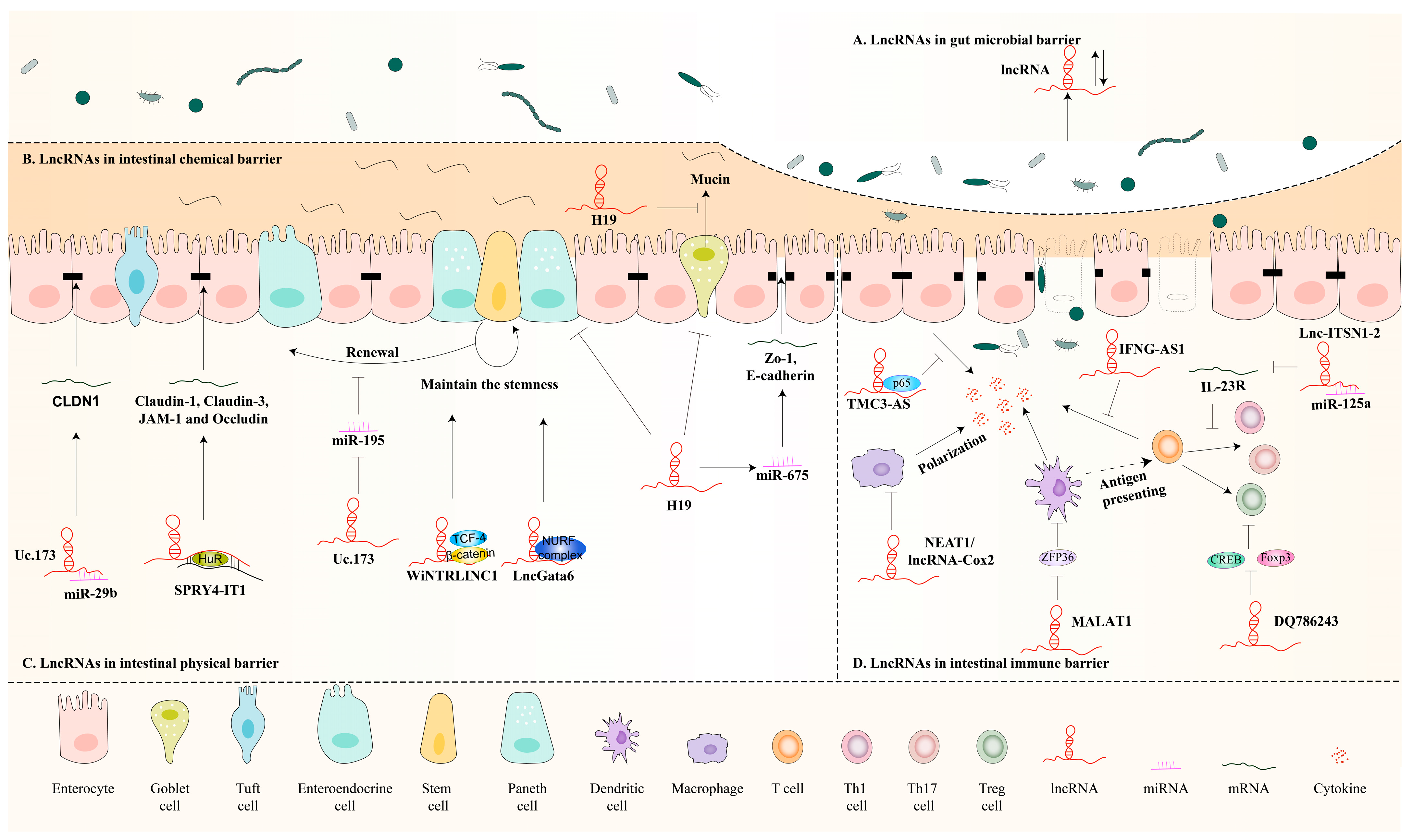 Biomolecules 13 01674 g002