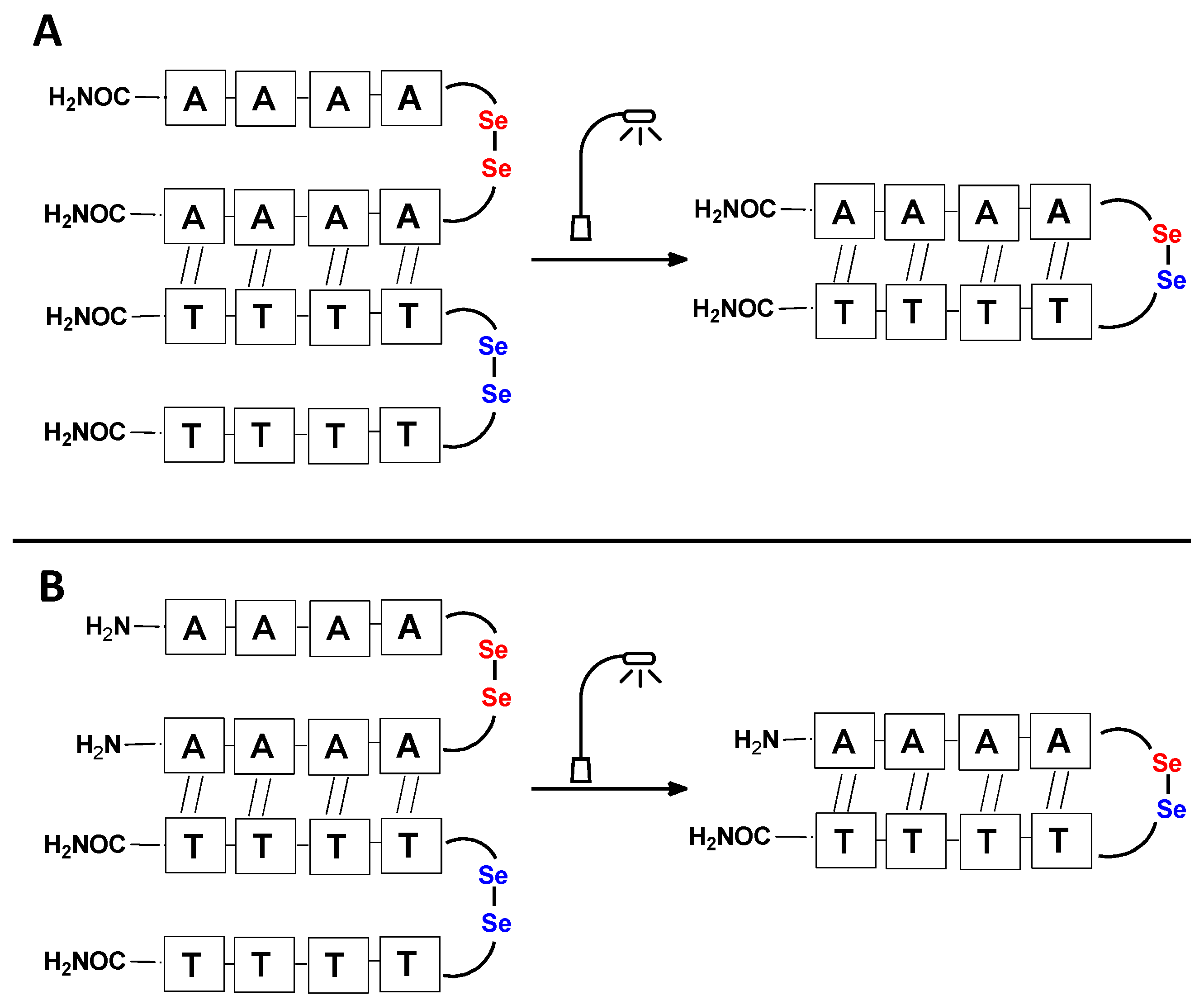Biomolecules 13 01676 g003