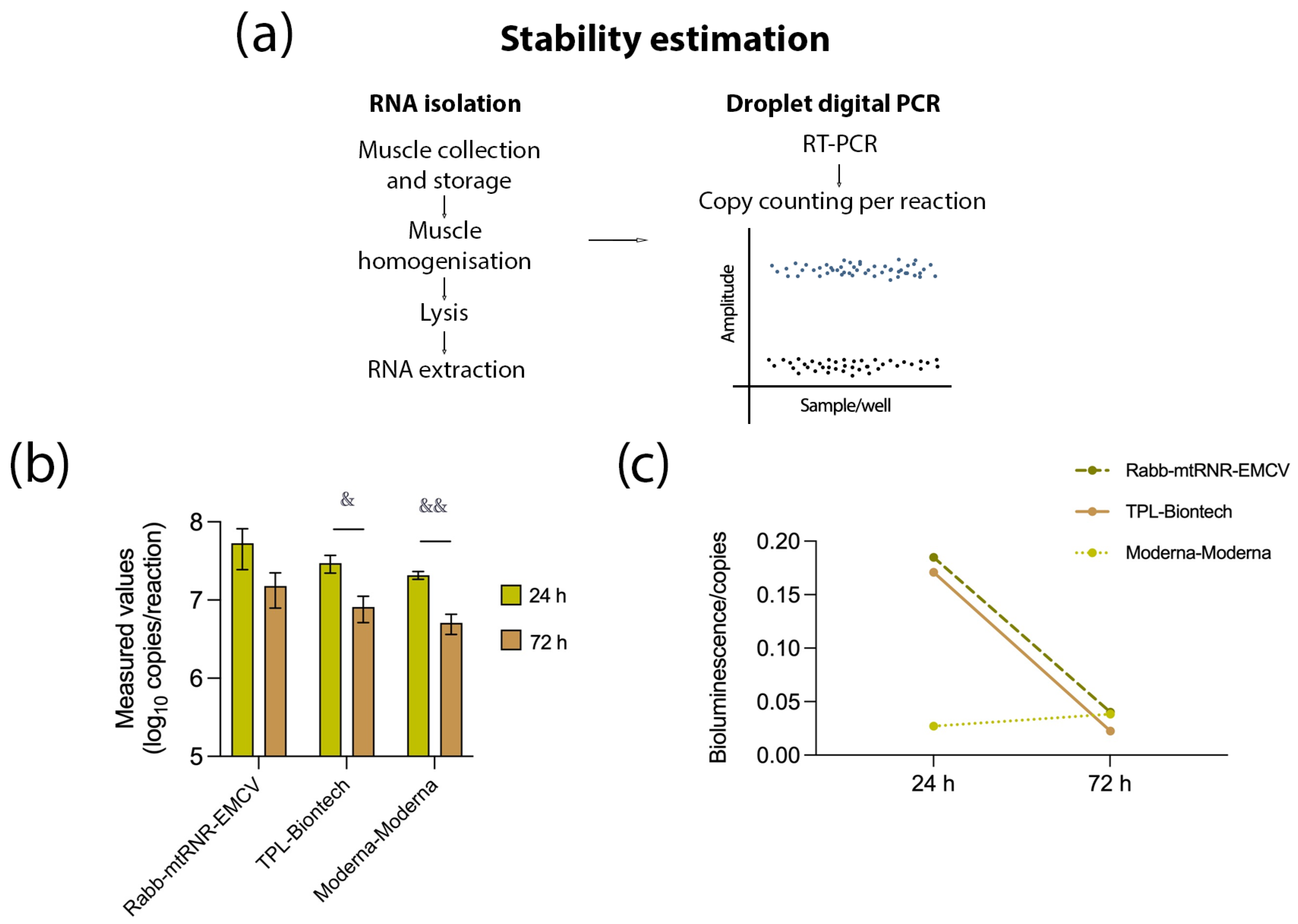 Biomolecules 13 01677 g004