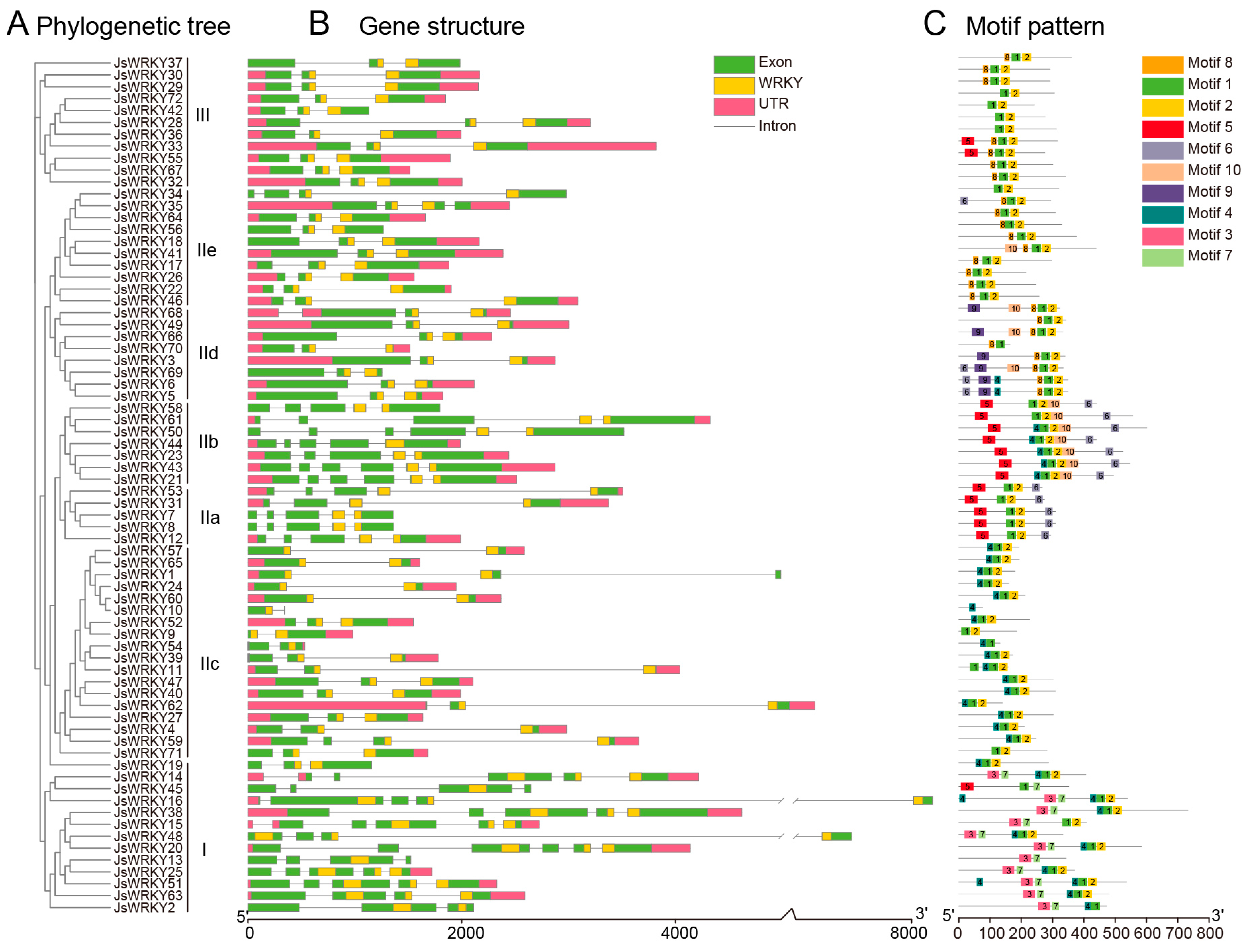 Biomolecules 13 01679 g002
