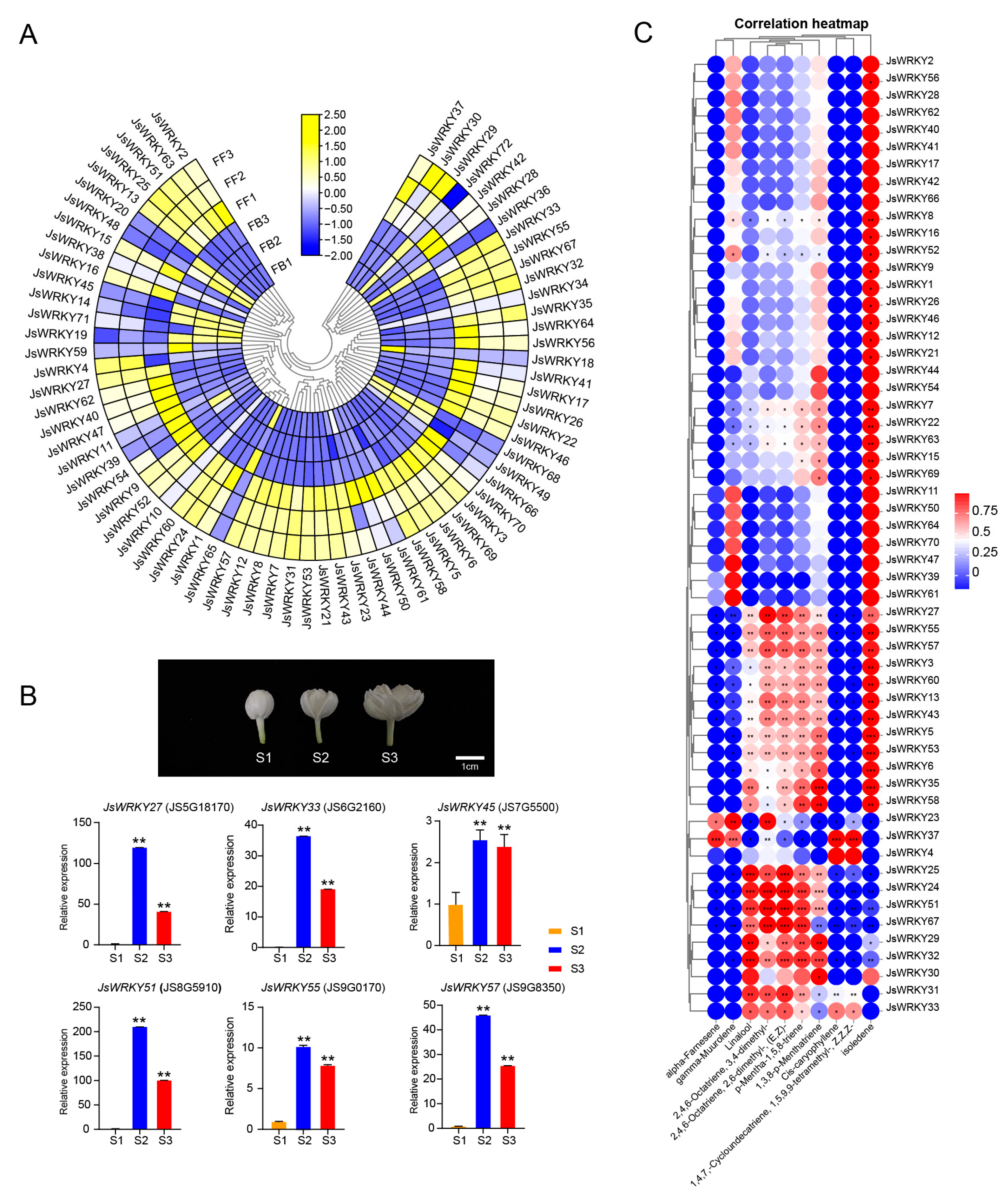 Biomolecules 13 01679 g004