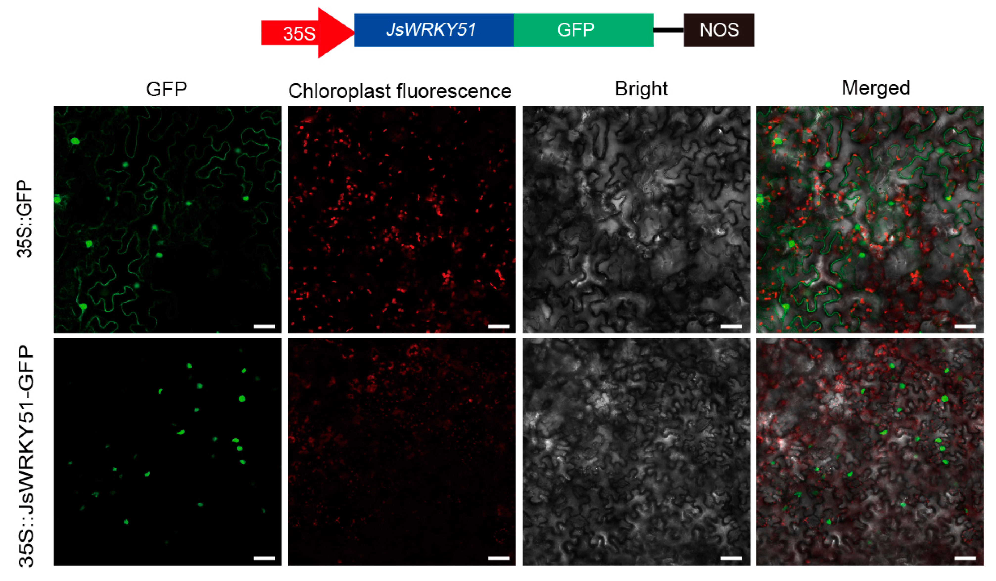 Biomolecules 13 01679 g006