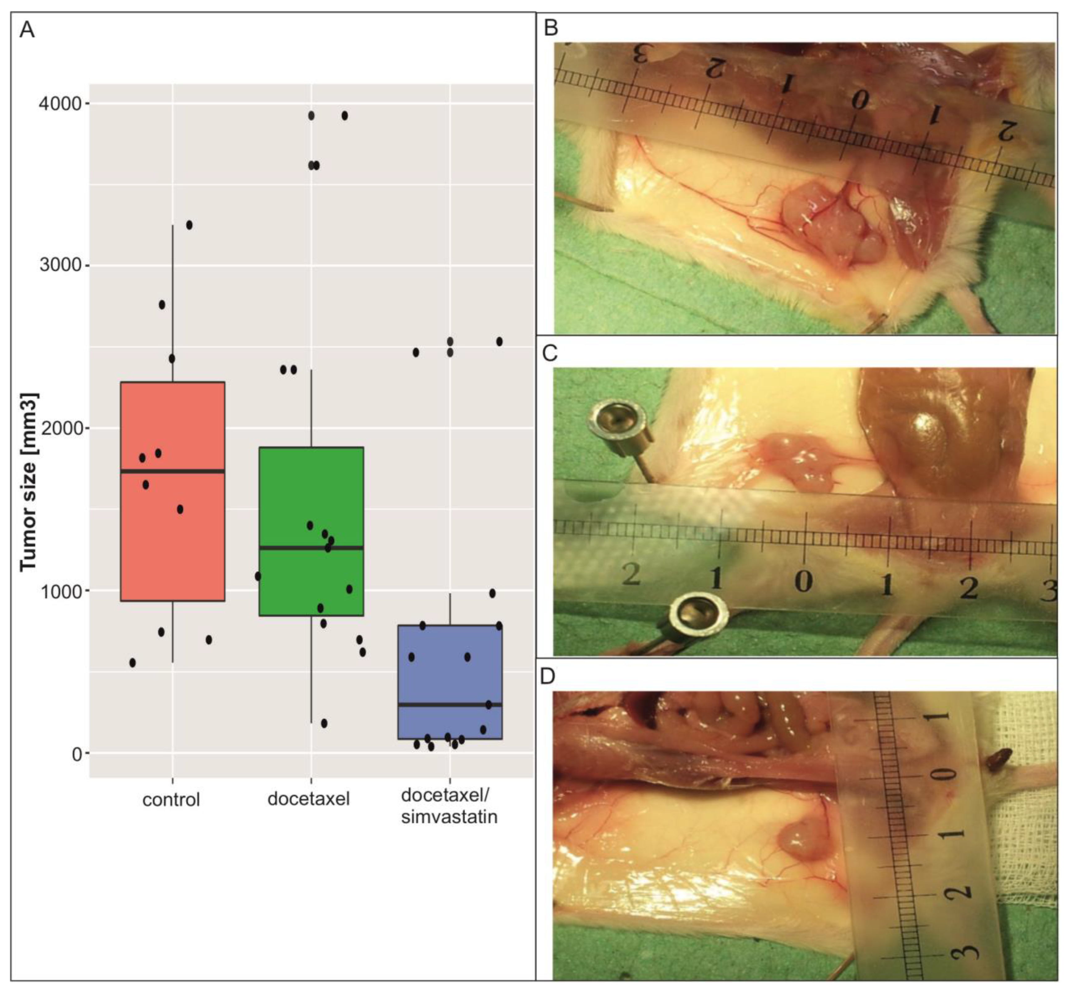 Biomolecules 13 01682 g004