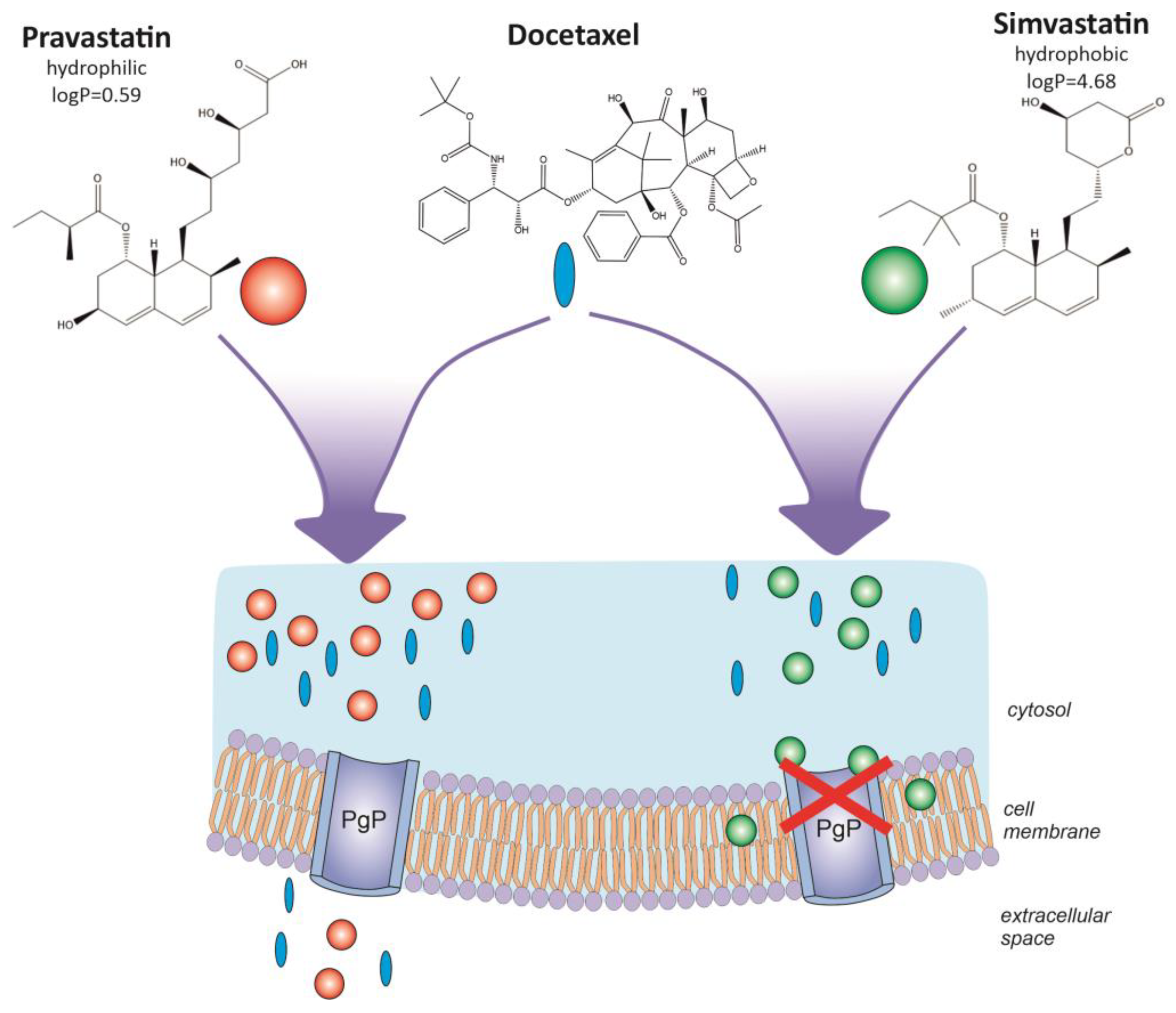 Biomolecules 13 01682 g007