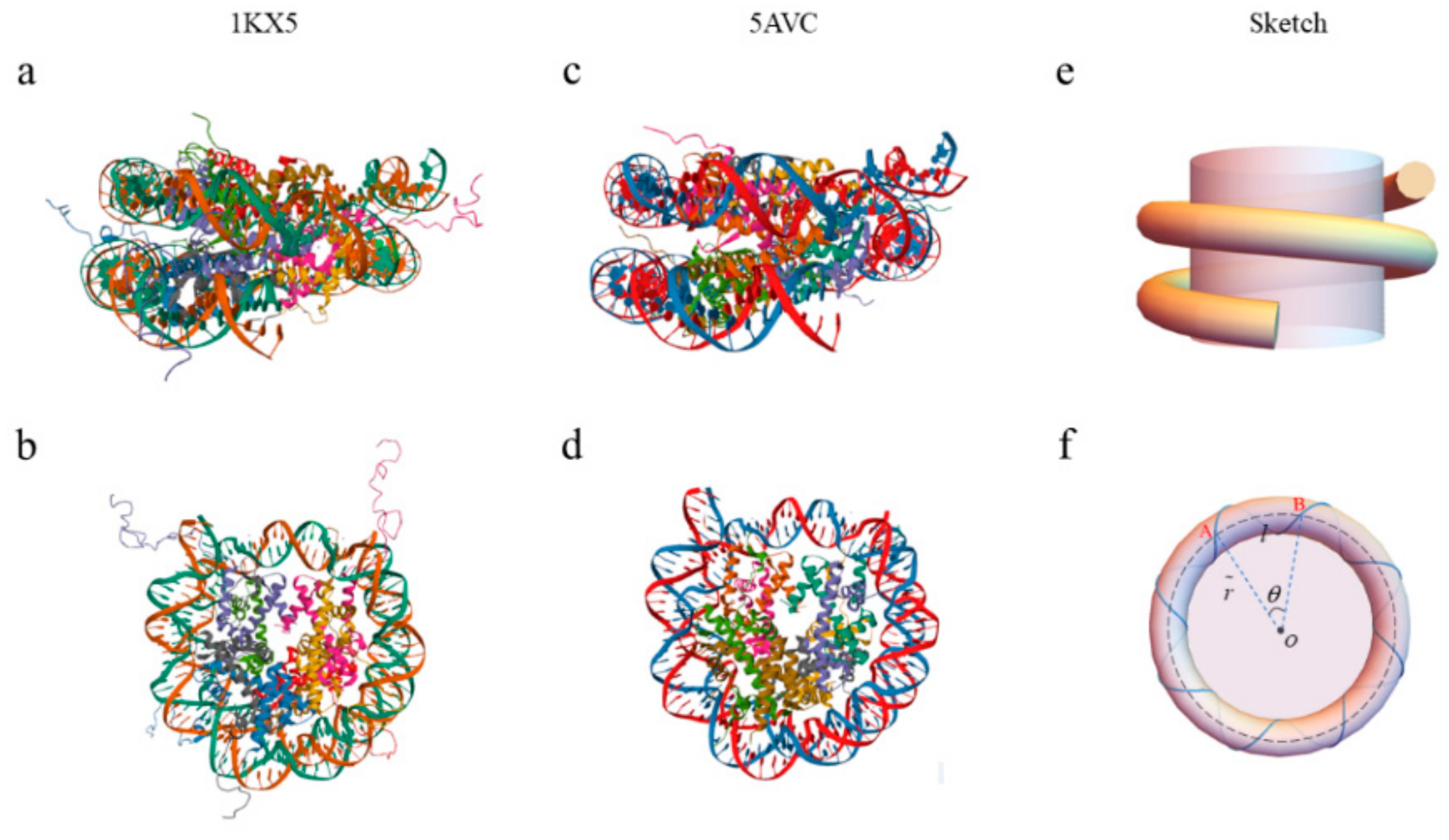 Biomolecules 13 01686 g001