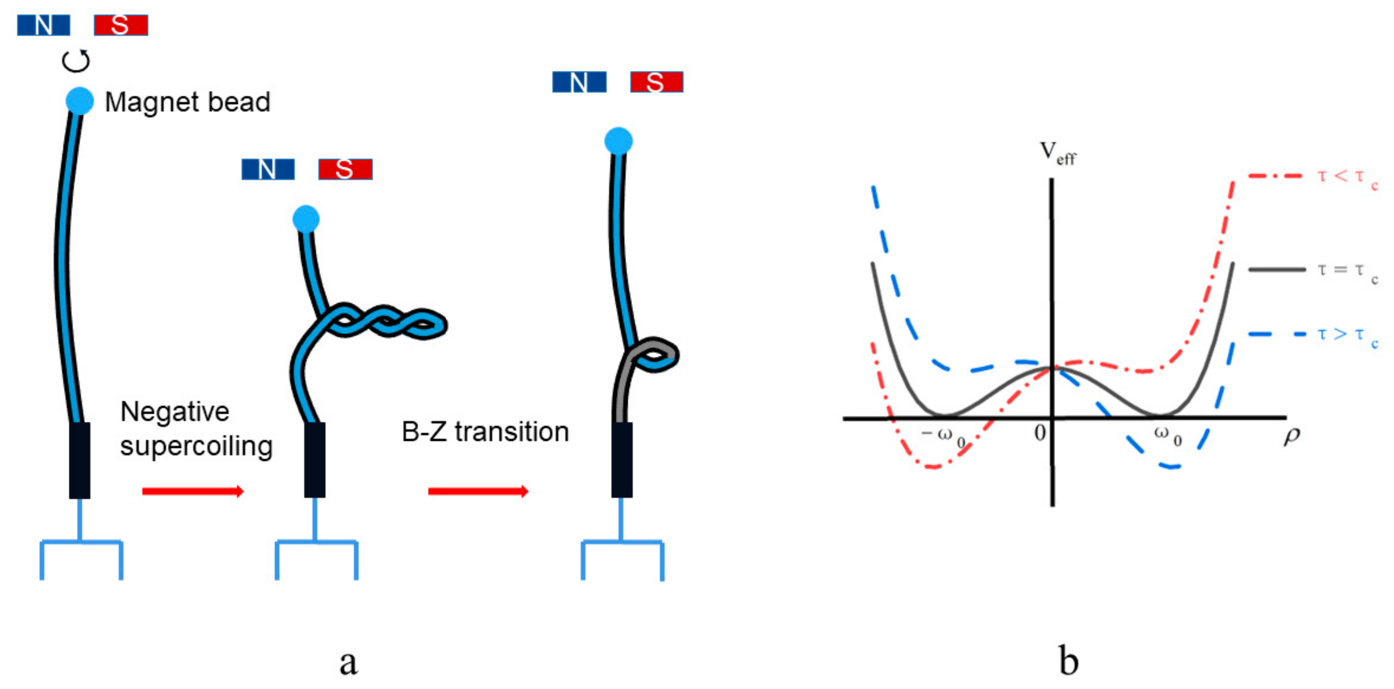 Biomolecules 13 01686 g002