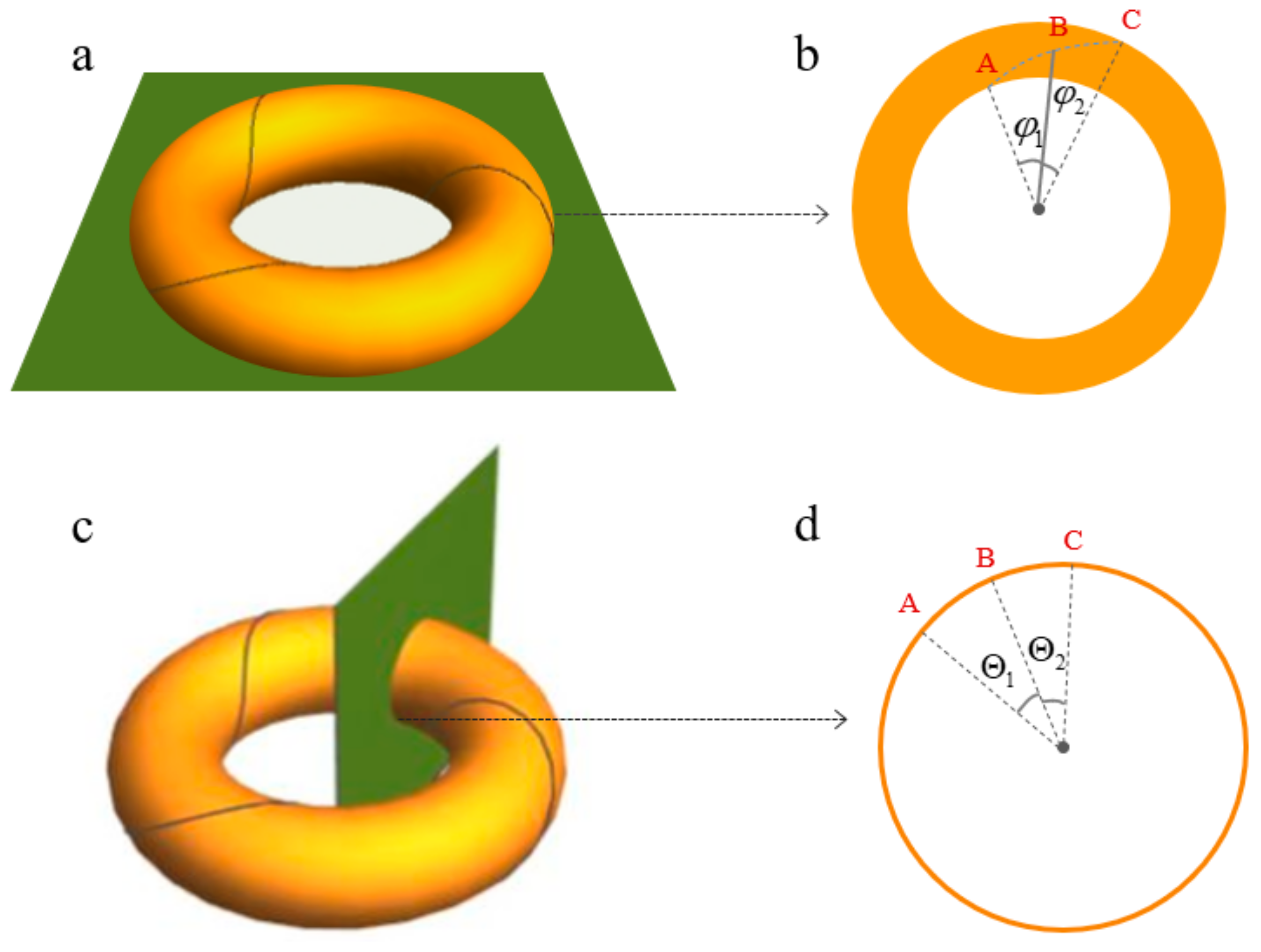 Biomolecules 13 01686 g004