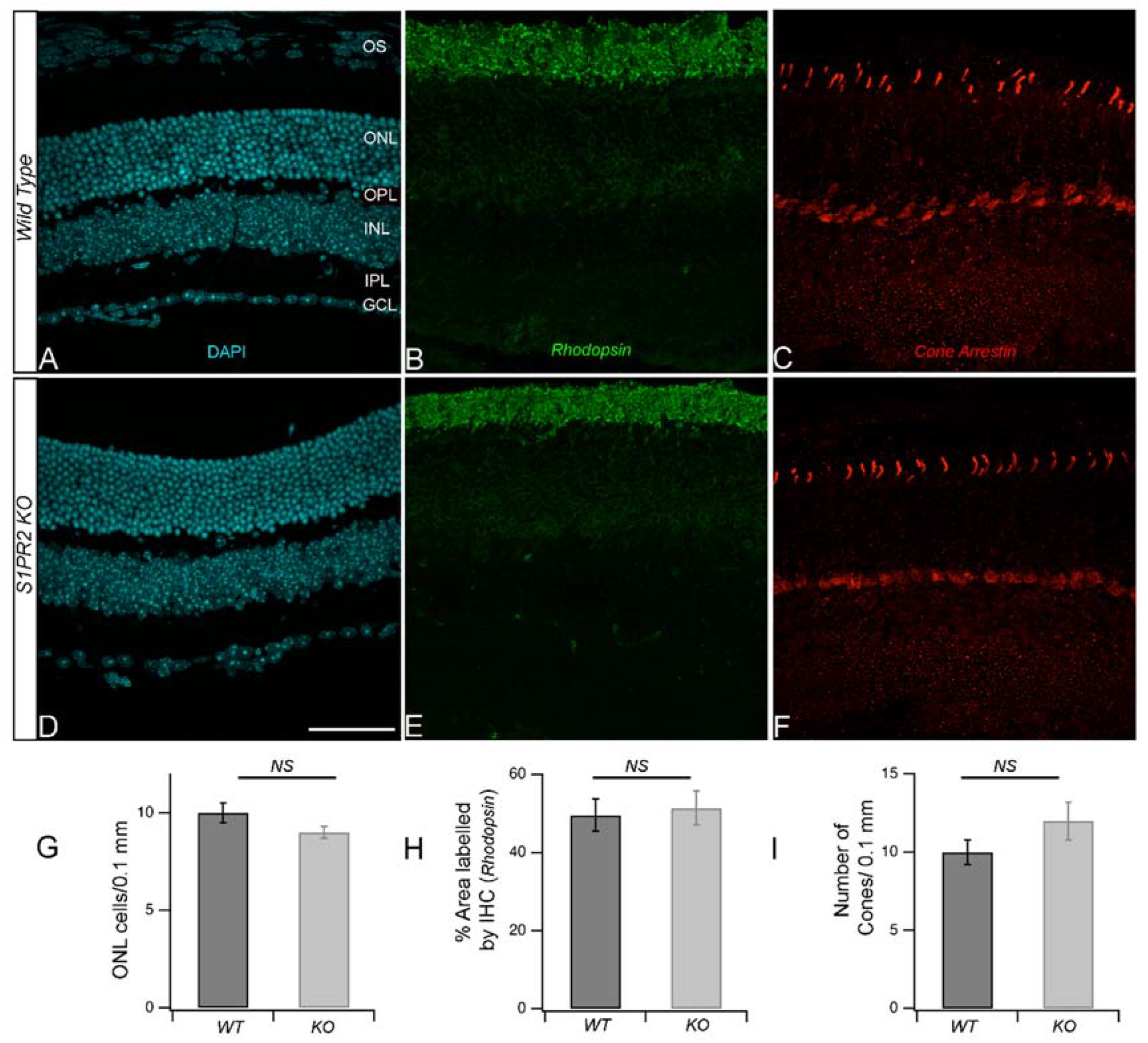 Biomolecules 13 01691 g003 Biomolecules 13 01691 g003